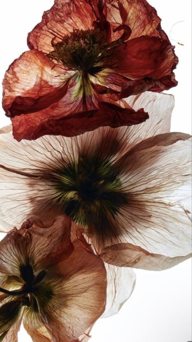 Original artwork