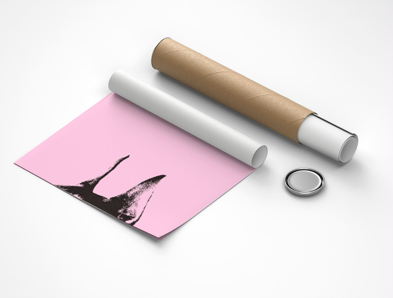 Rolled poster