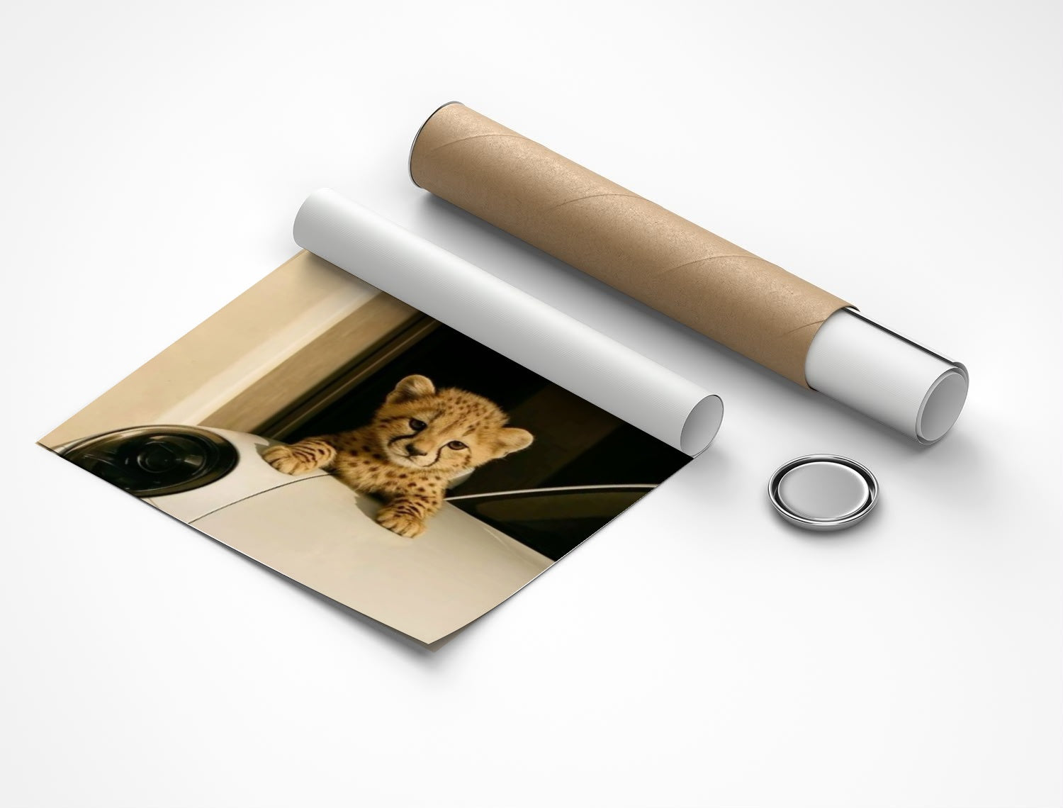 Rolled poster
