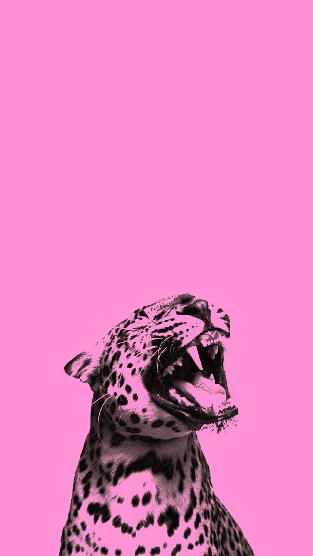 Original artwork