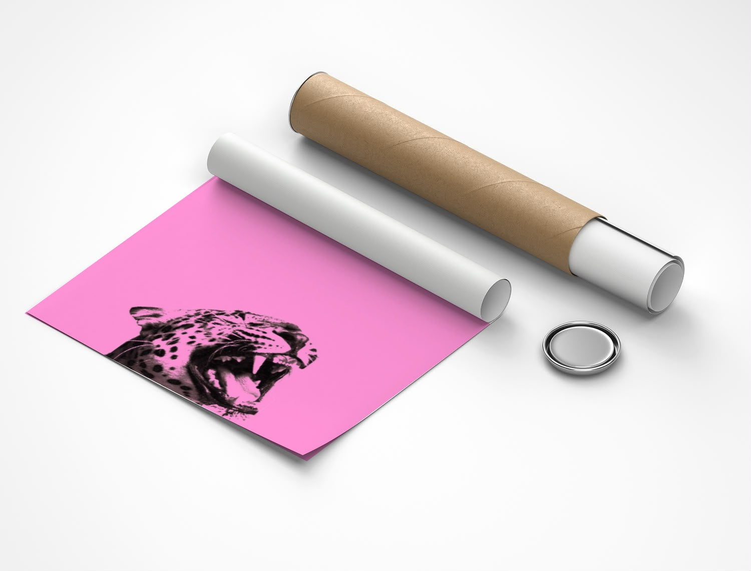 Rolled poster