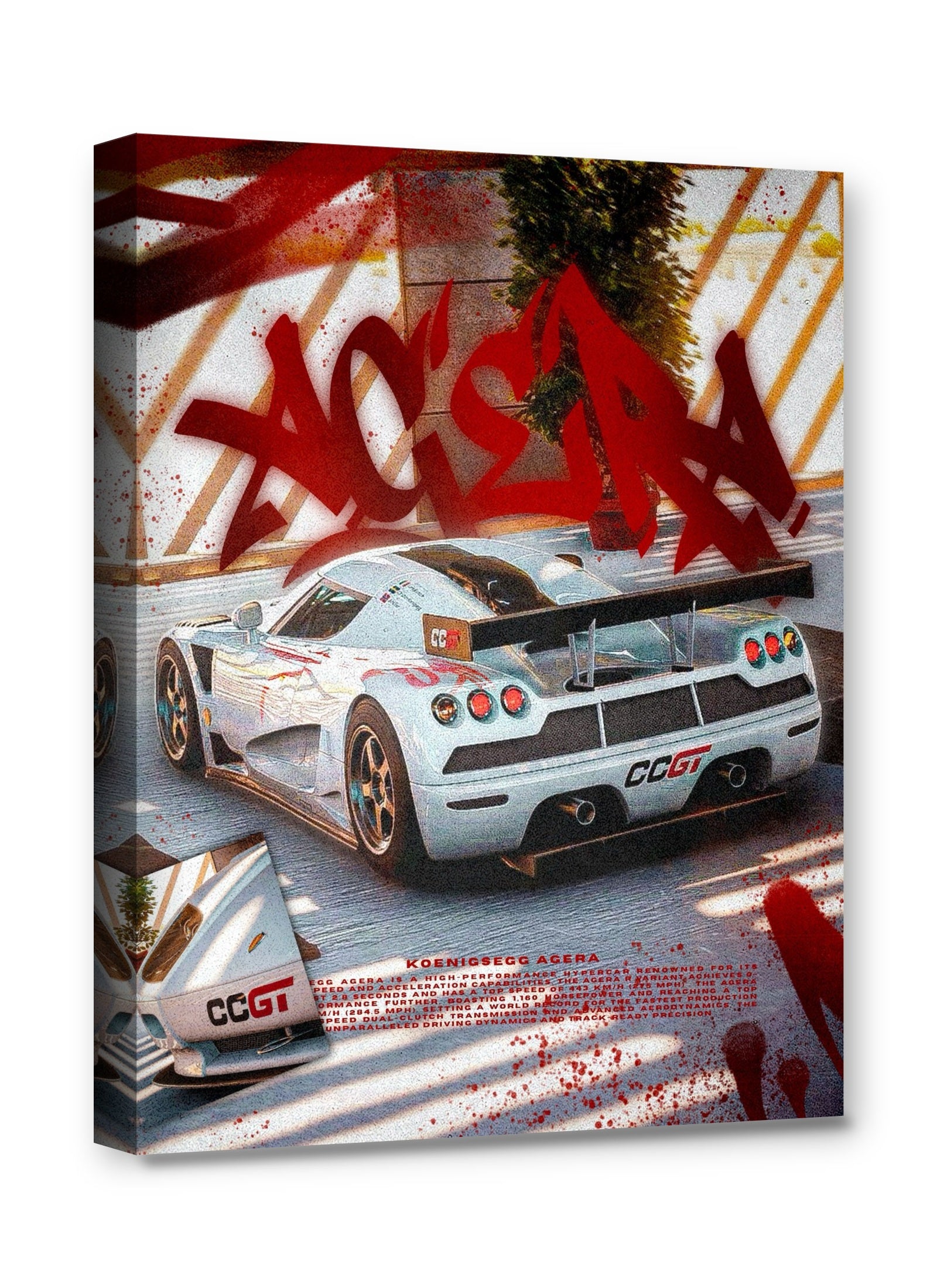 Framed canvas