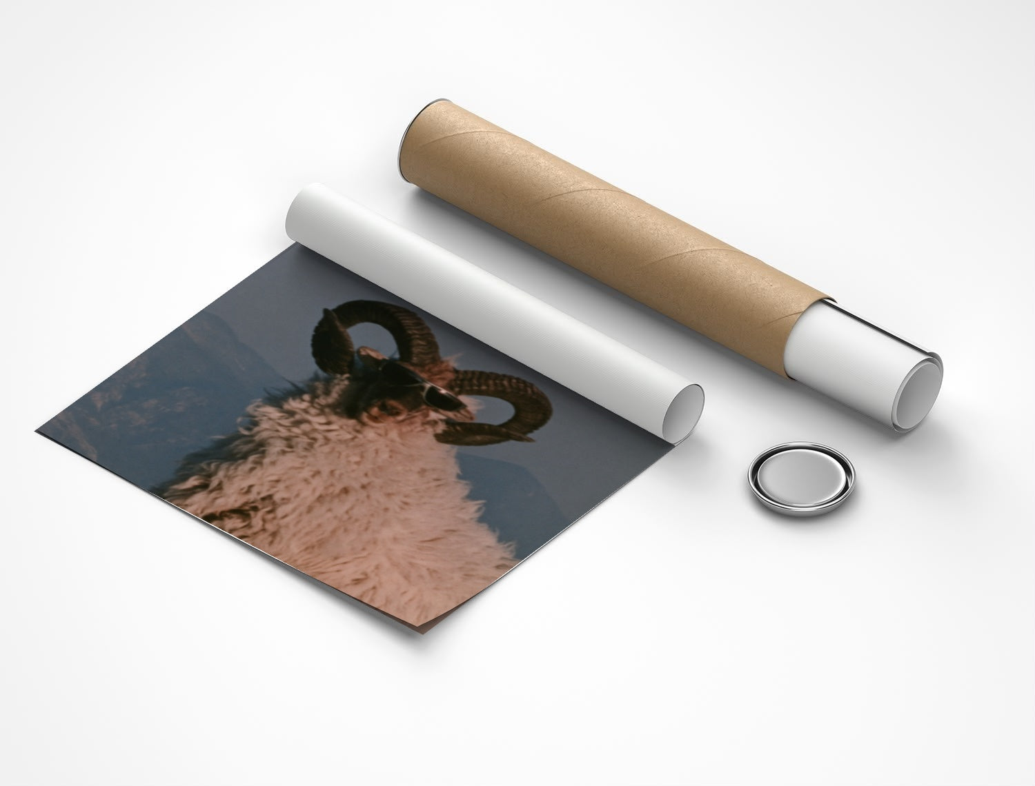 Rolled poster