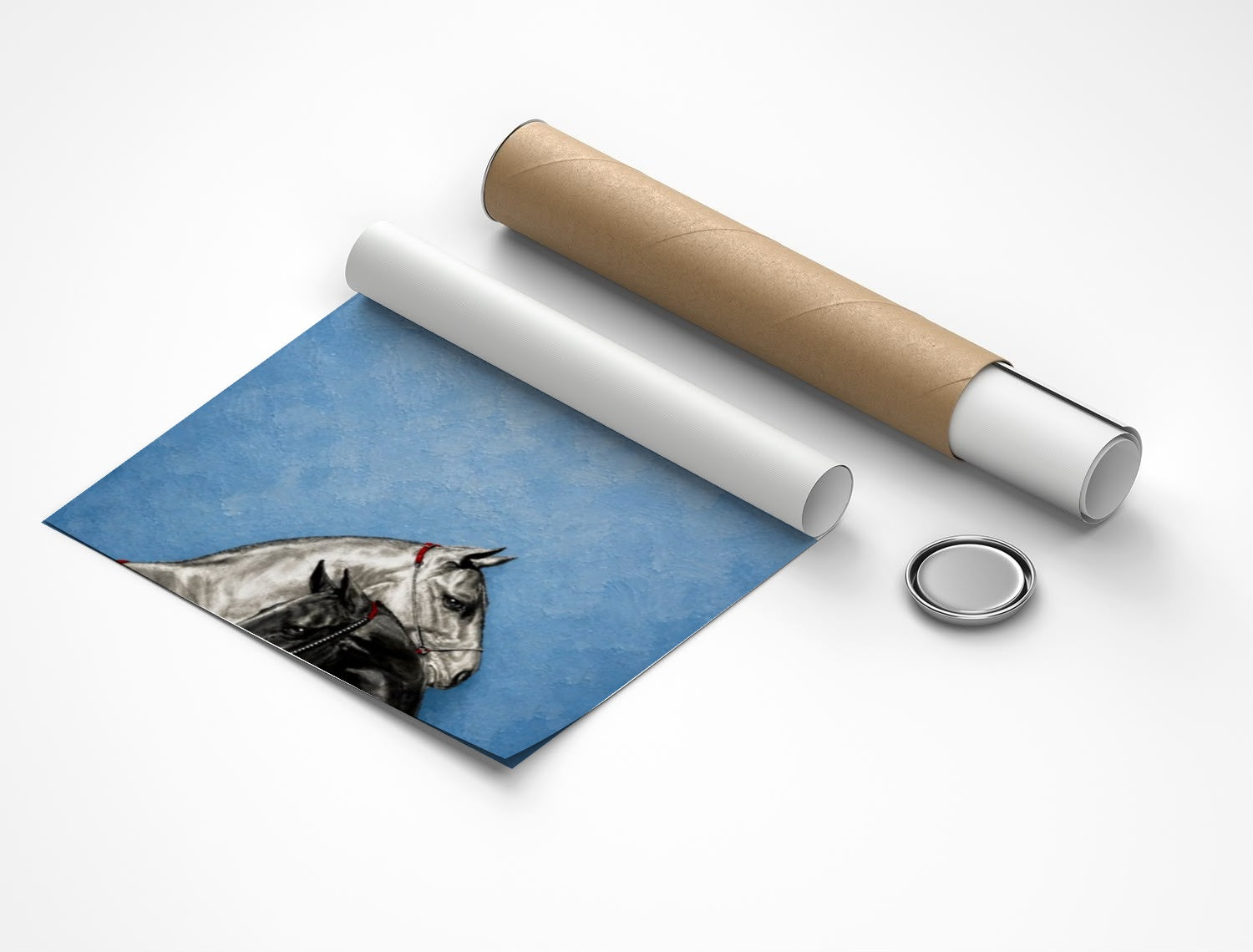 Rolled poster