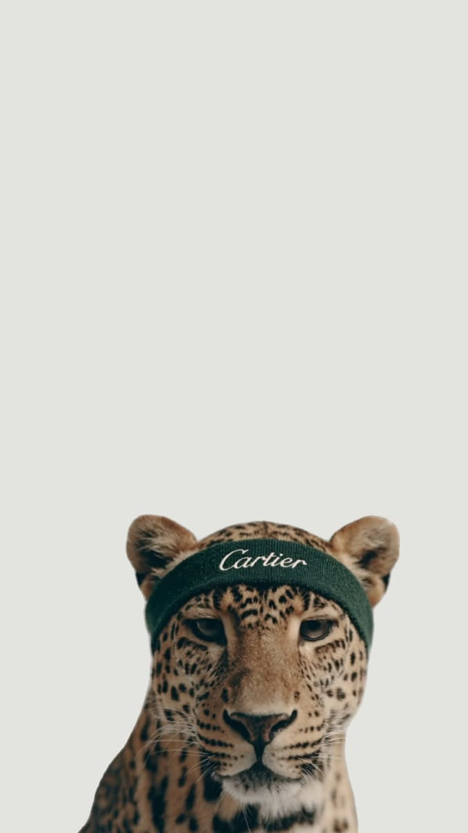 Original artwork