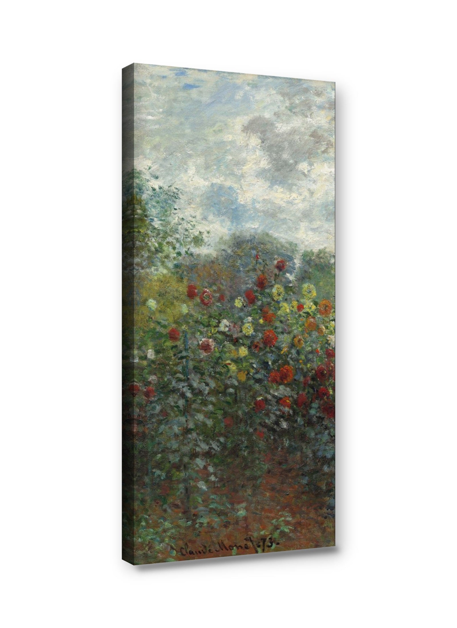 Framed canvas