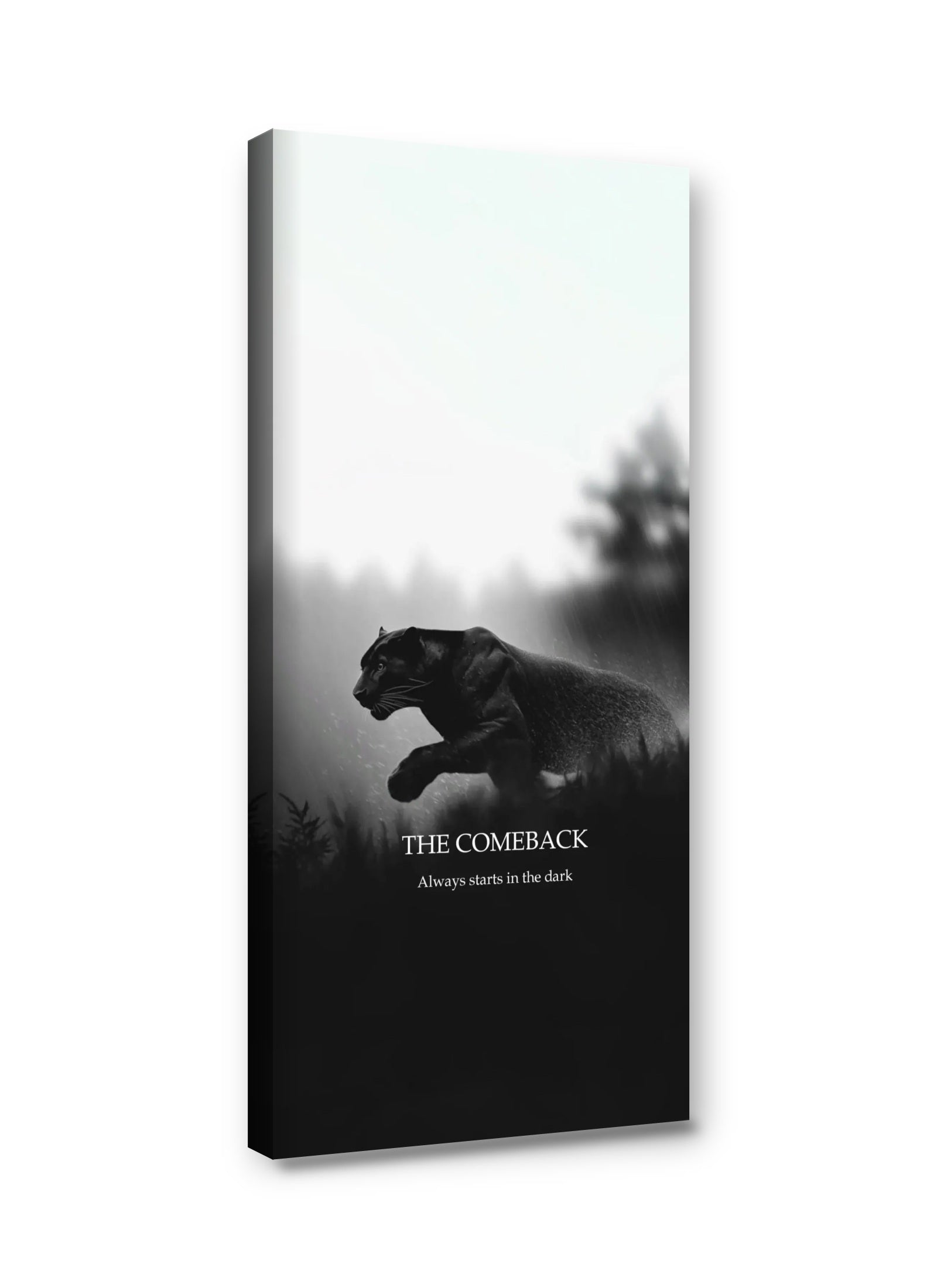 Framed canvas