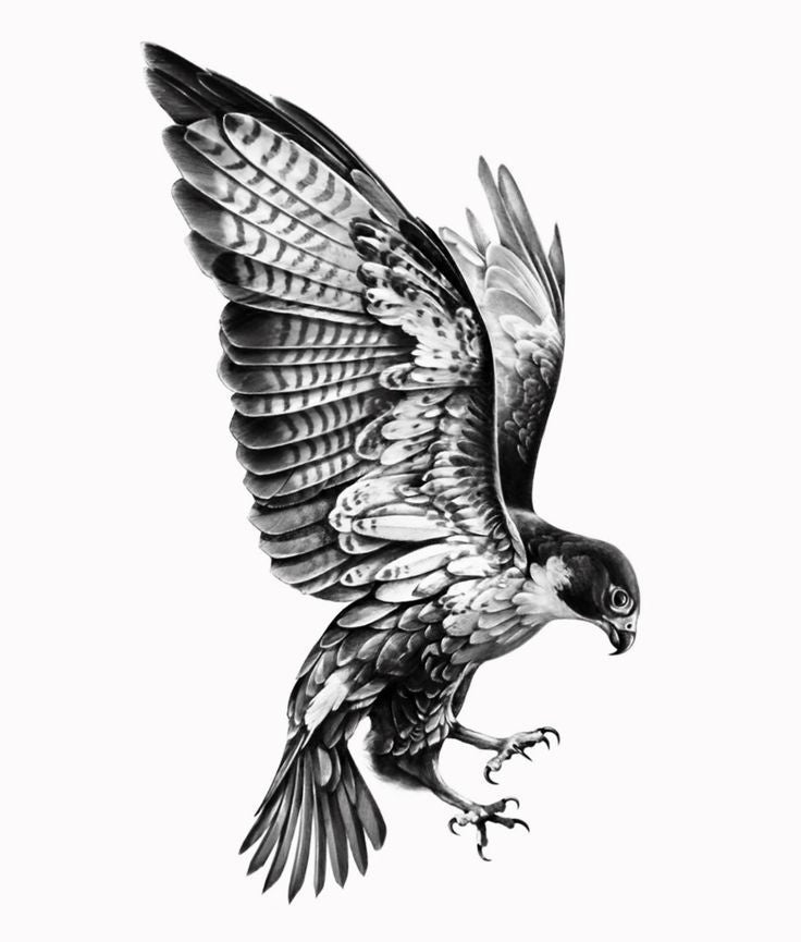 Original artwork