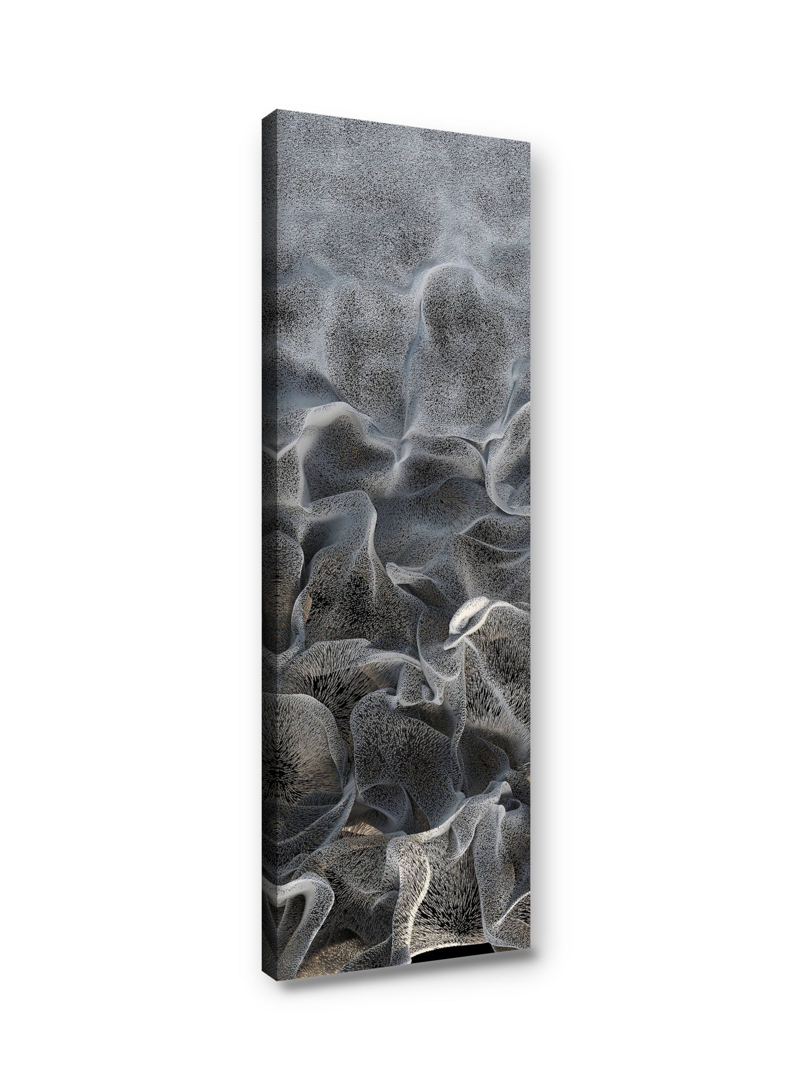 Framed canvas
