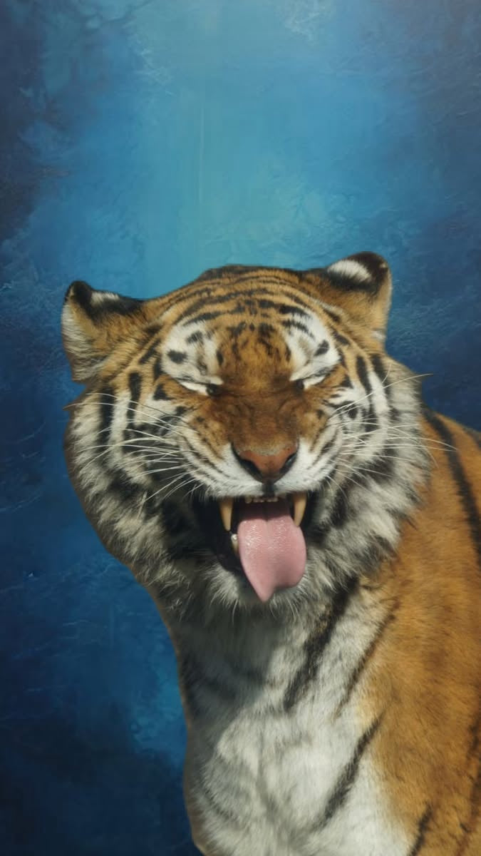 Original artwork