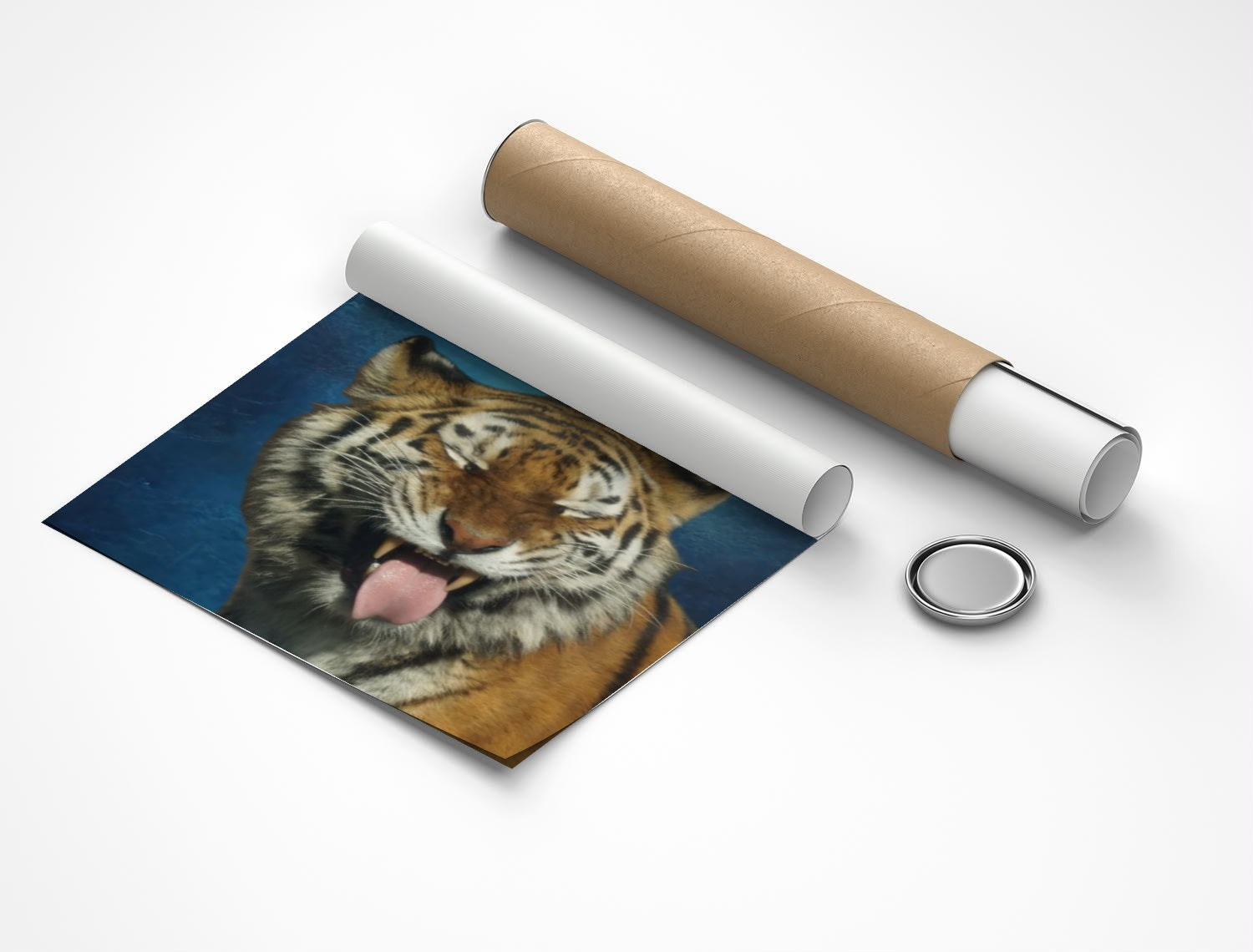 Rolled poster