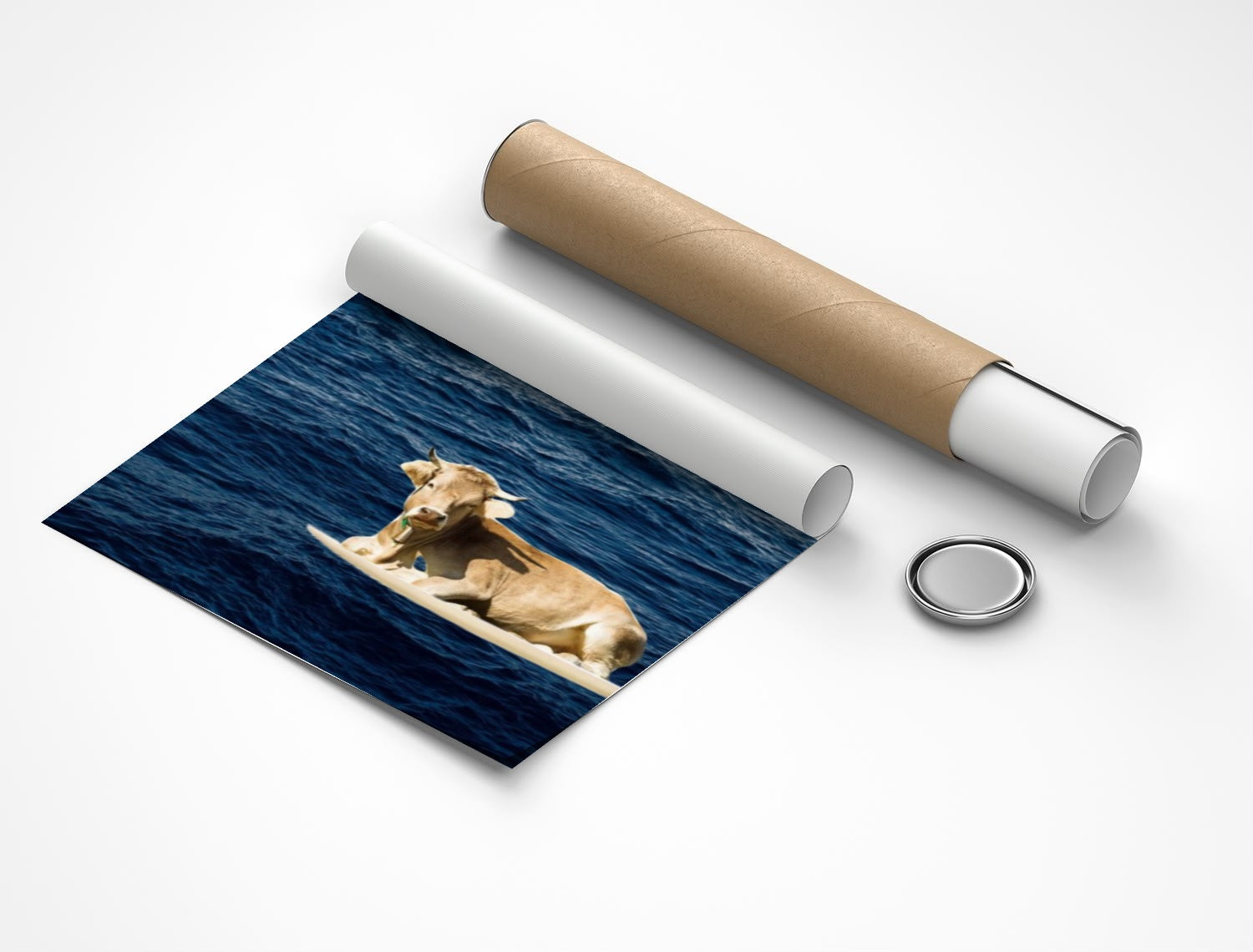 Rolled poster