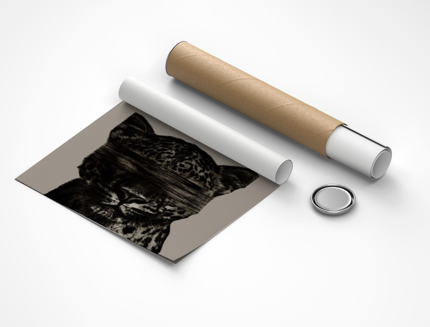 Rolled poster