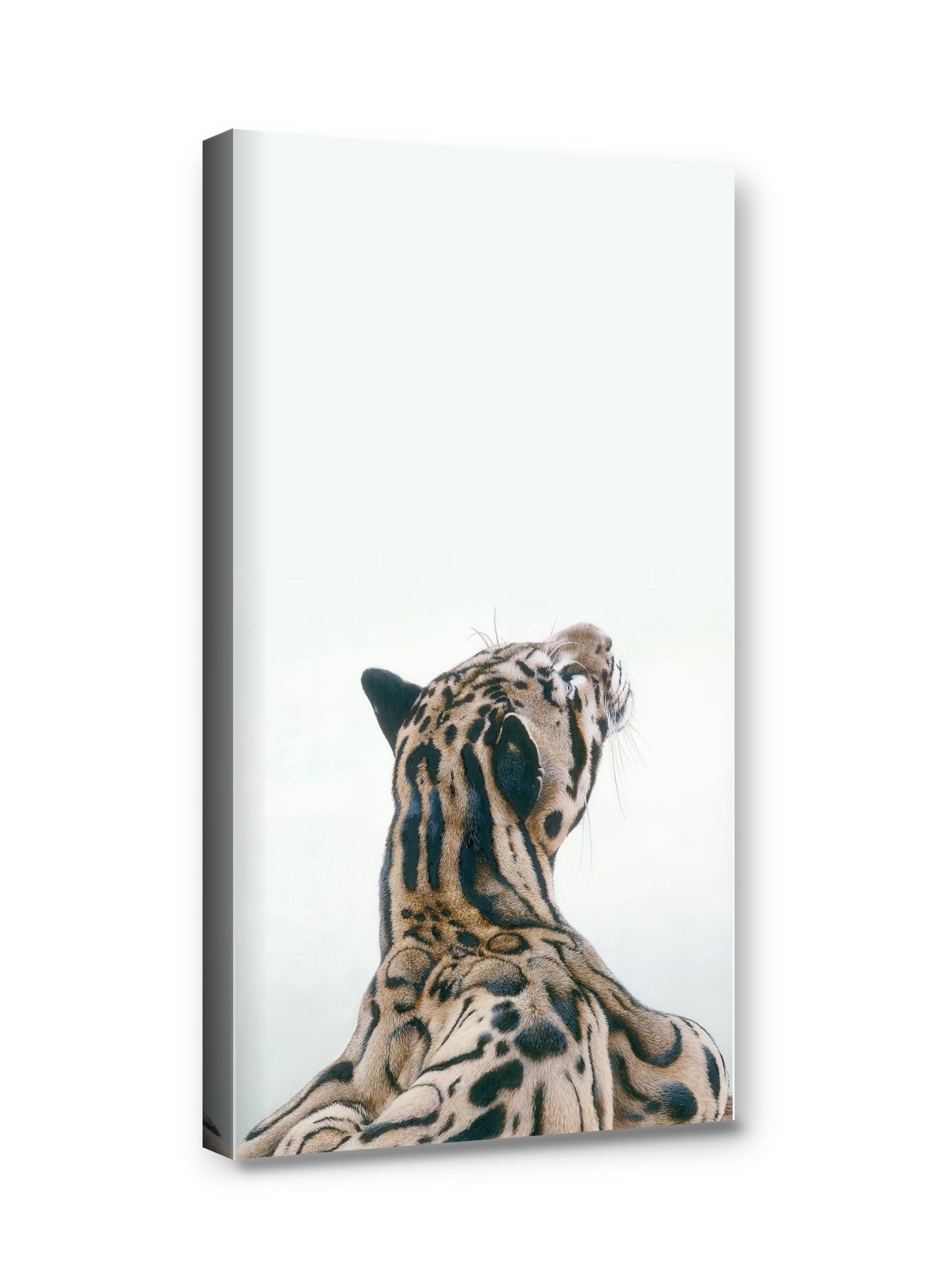 Framed canvas