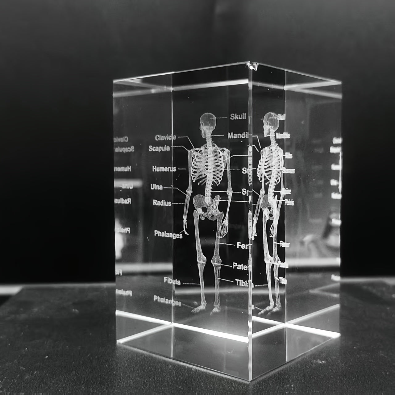 Tnessential Crystal Carved Human Skeleton Ornament 3D Decor