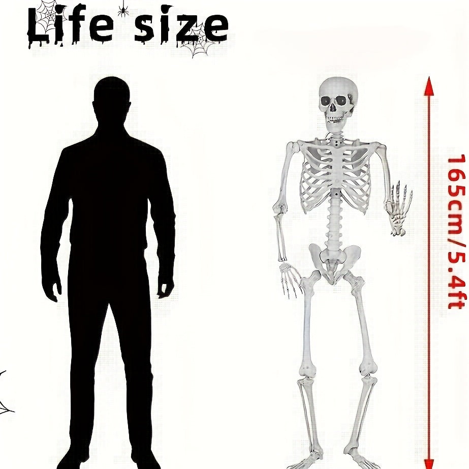 Tnessential Oversized Halloween Skull Skeleton 3D Decor