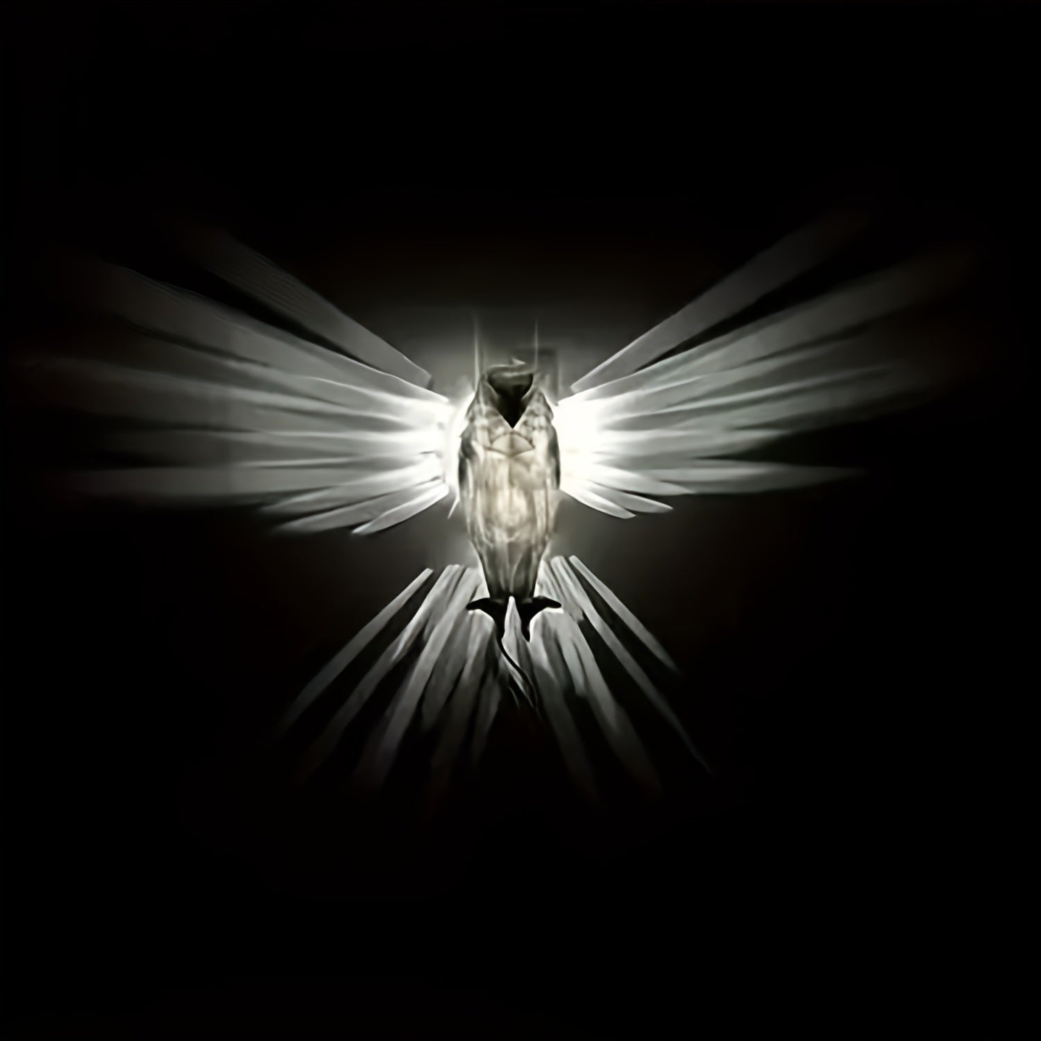 Tnessential Printed Eagle Wall Lamp 3D Decor