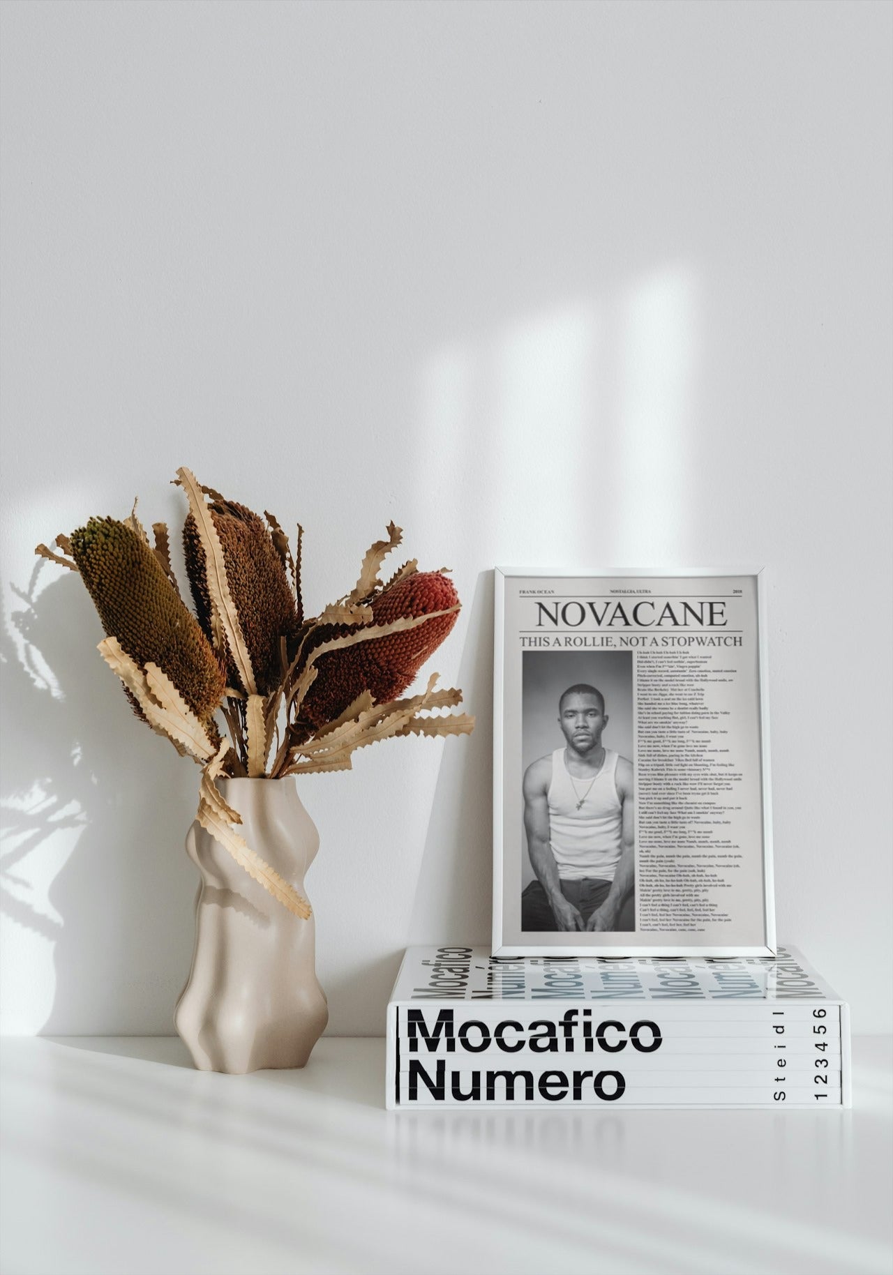 FRANK OCEAN "NOVA CANE" CANVAS POSTER