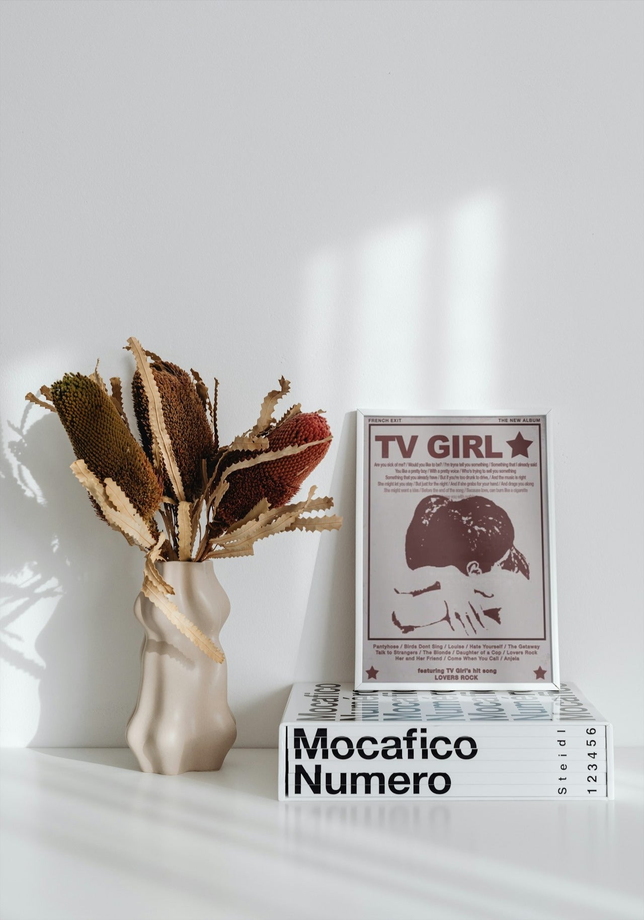 TV GIRL CANVAS POSTER