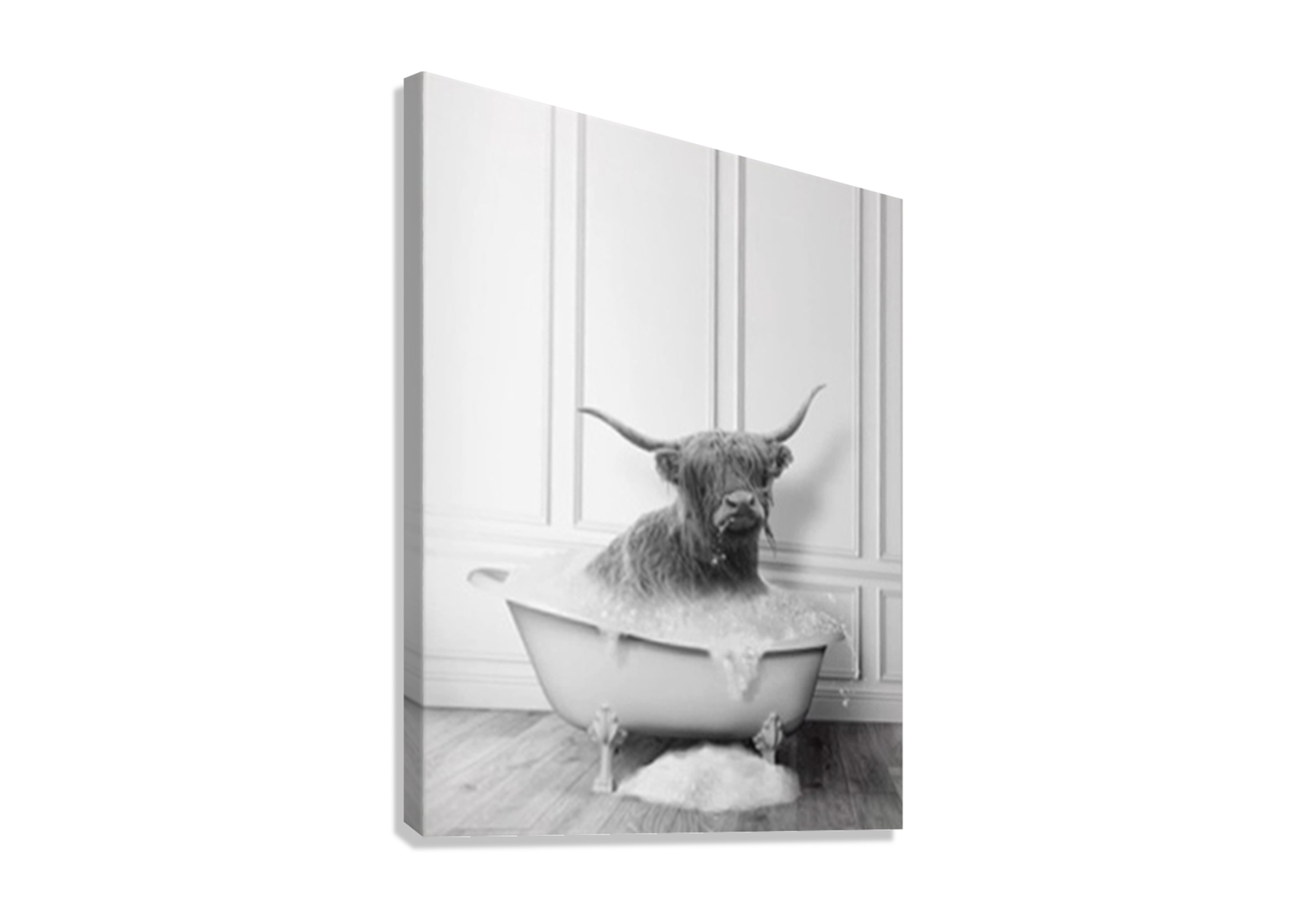FUNNY ANIMAL POSTER BUFFALO