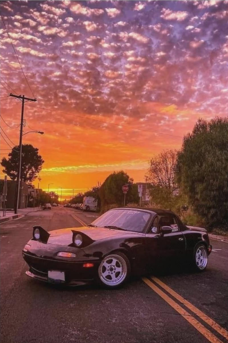 CAR CANVAS POSTER