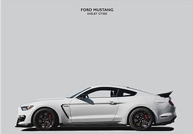 MUSTANG CANVAS POSTER