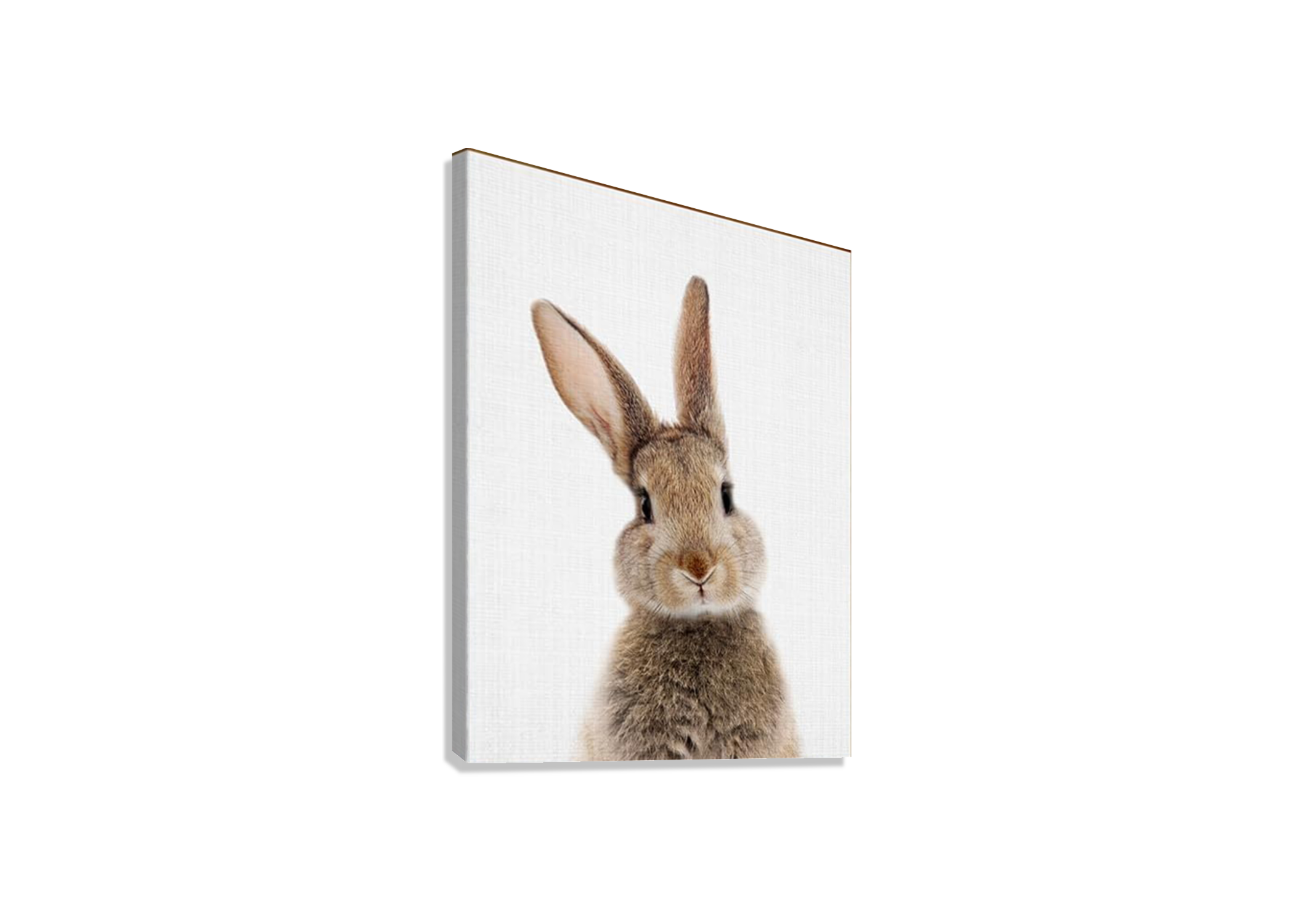 CUTE ANIMAL CANVAS POSTER