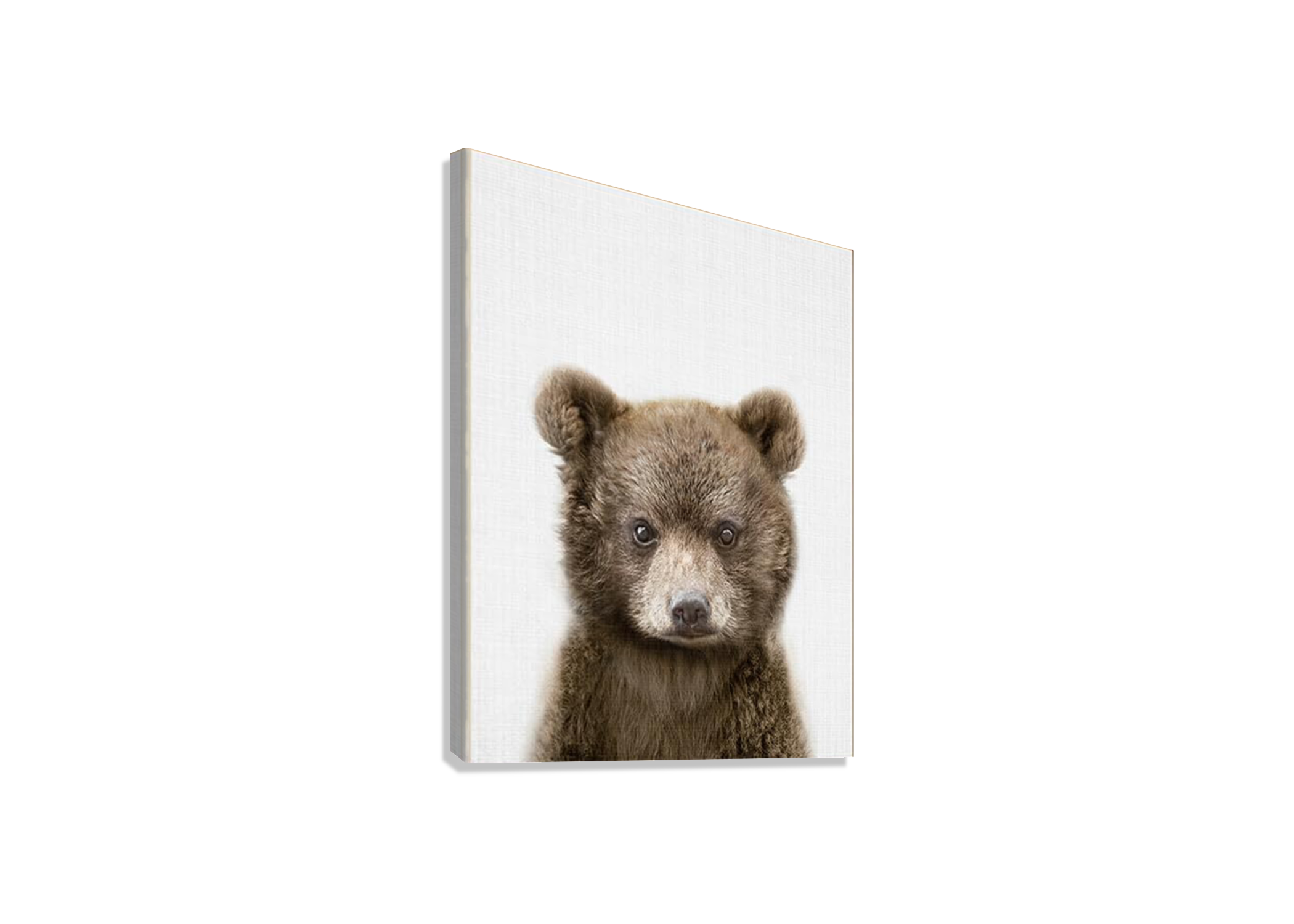 CUTE ANIMAL CANVAS POSTER