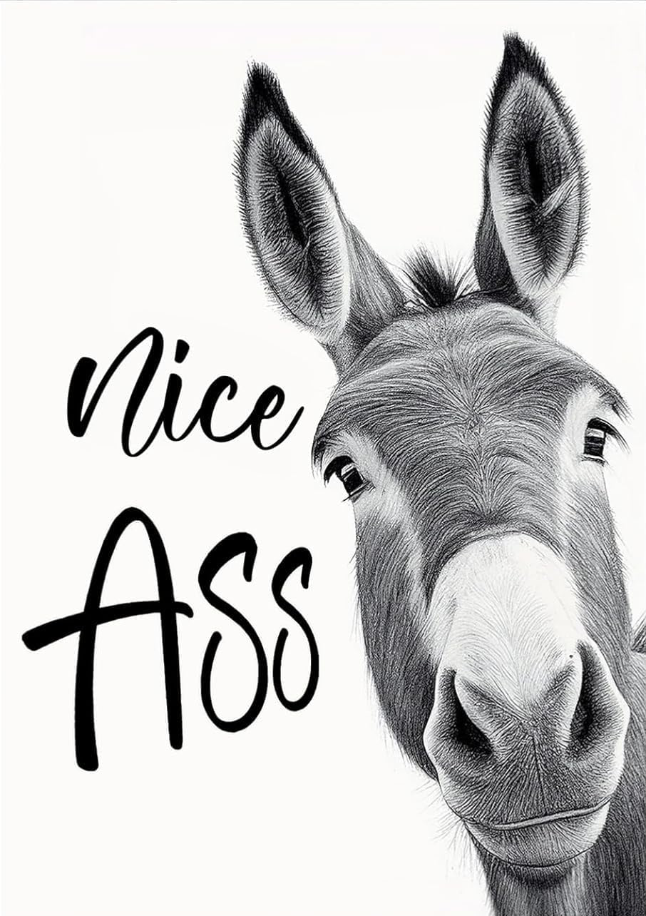 FUNNY DONKEY CANVAS POSTER