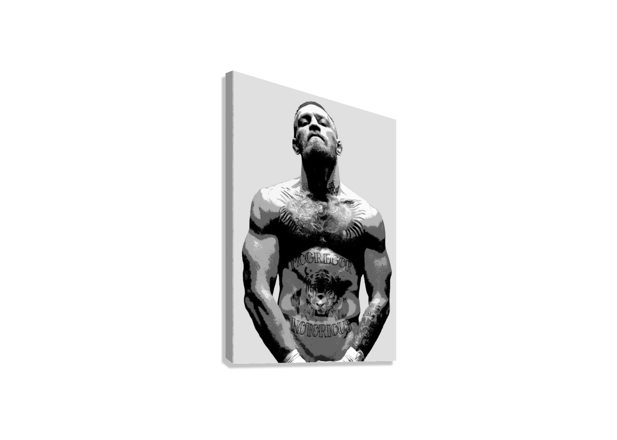 CONOR MCGREGOR CANVAS POSTER