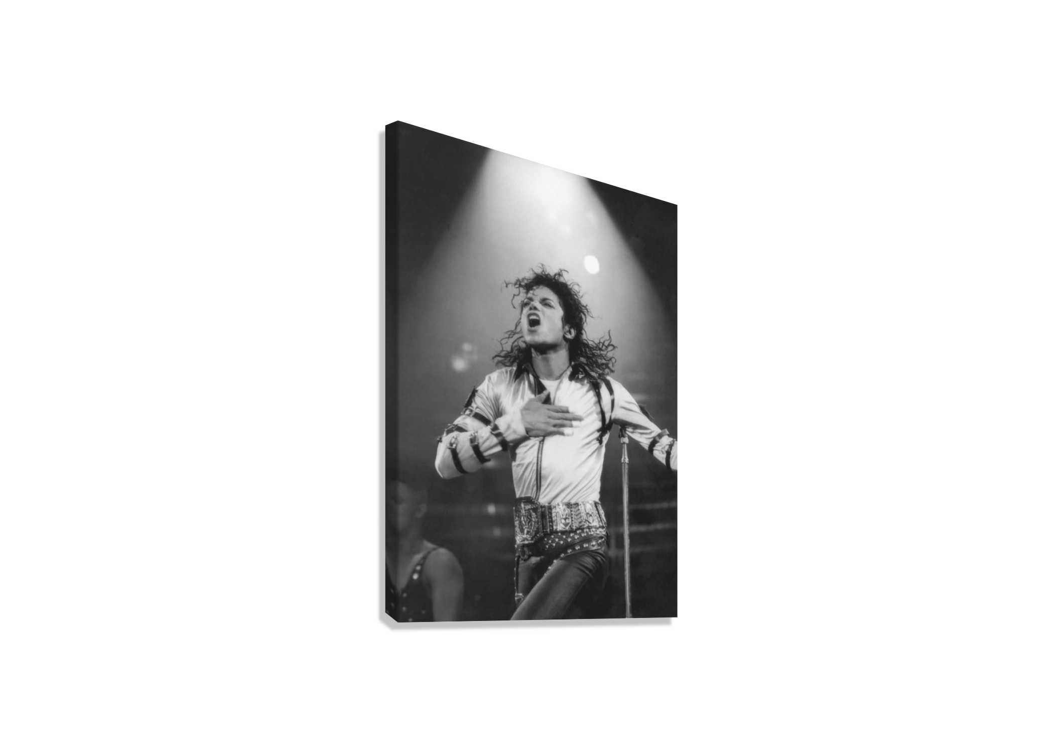 MICHEAL JACKSON CANVAS POSTER