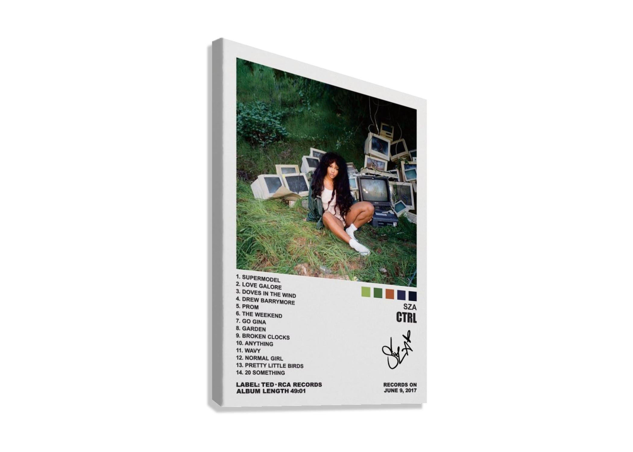 SZA "CTRL" CANVAS POSTER