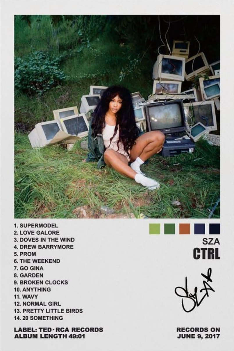 SZA "CTRL" CANVAS POSTER