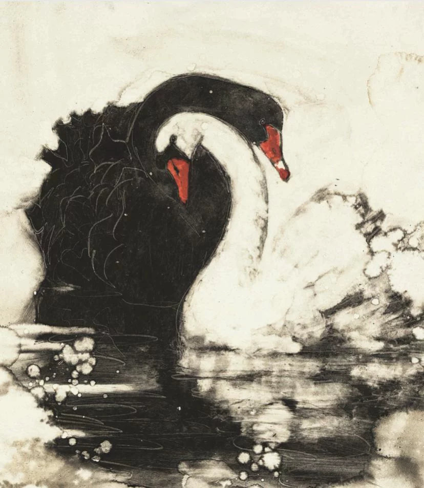 BLACK AND WHITE SWAN VINTAGE CANVAS POSTER