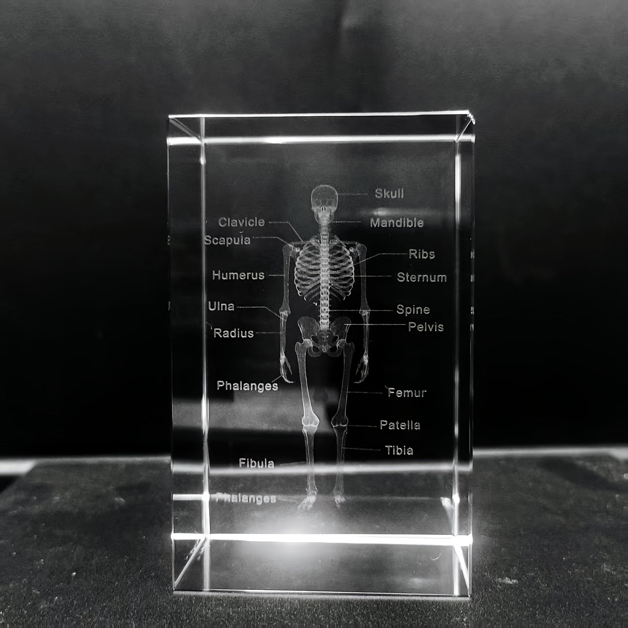 Tnessential Crystal Carved Human Skeleton Ornament 3D Decor