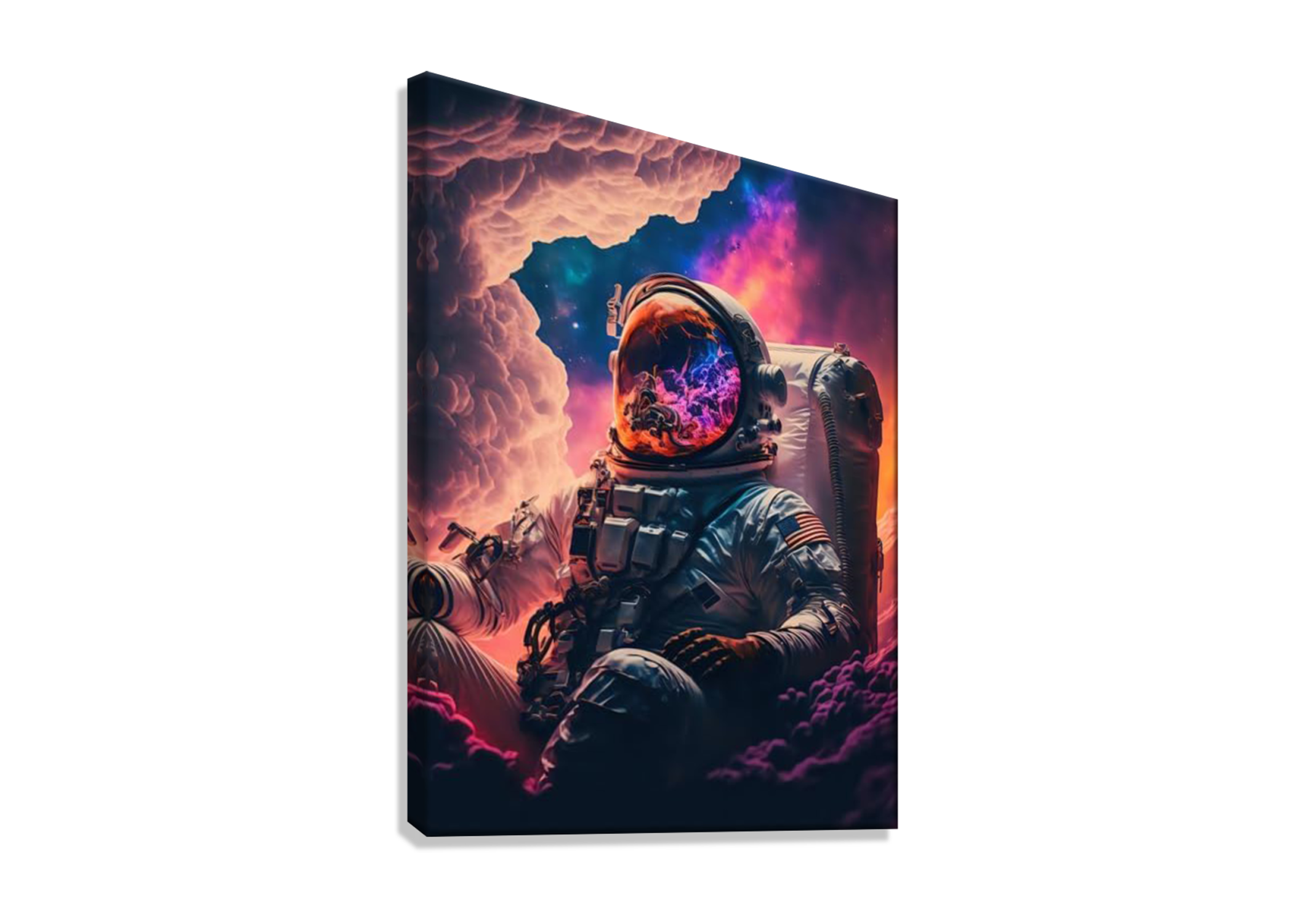 ASTRONUT CANVAS POSTER