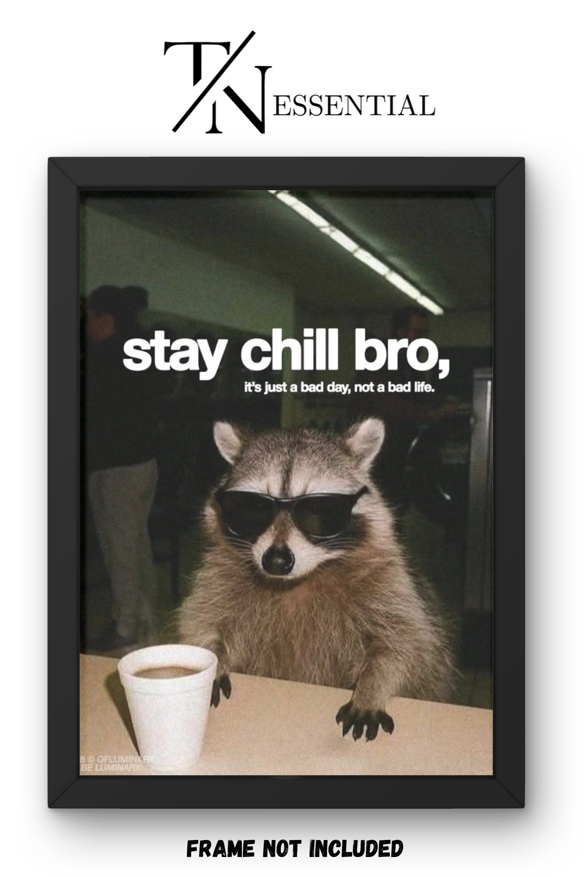 STAY CHILL BRO RACCOON MOTIVATION CANVAS POSTER