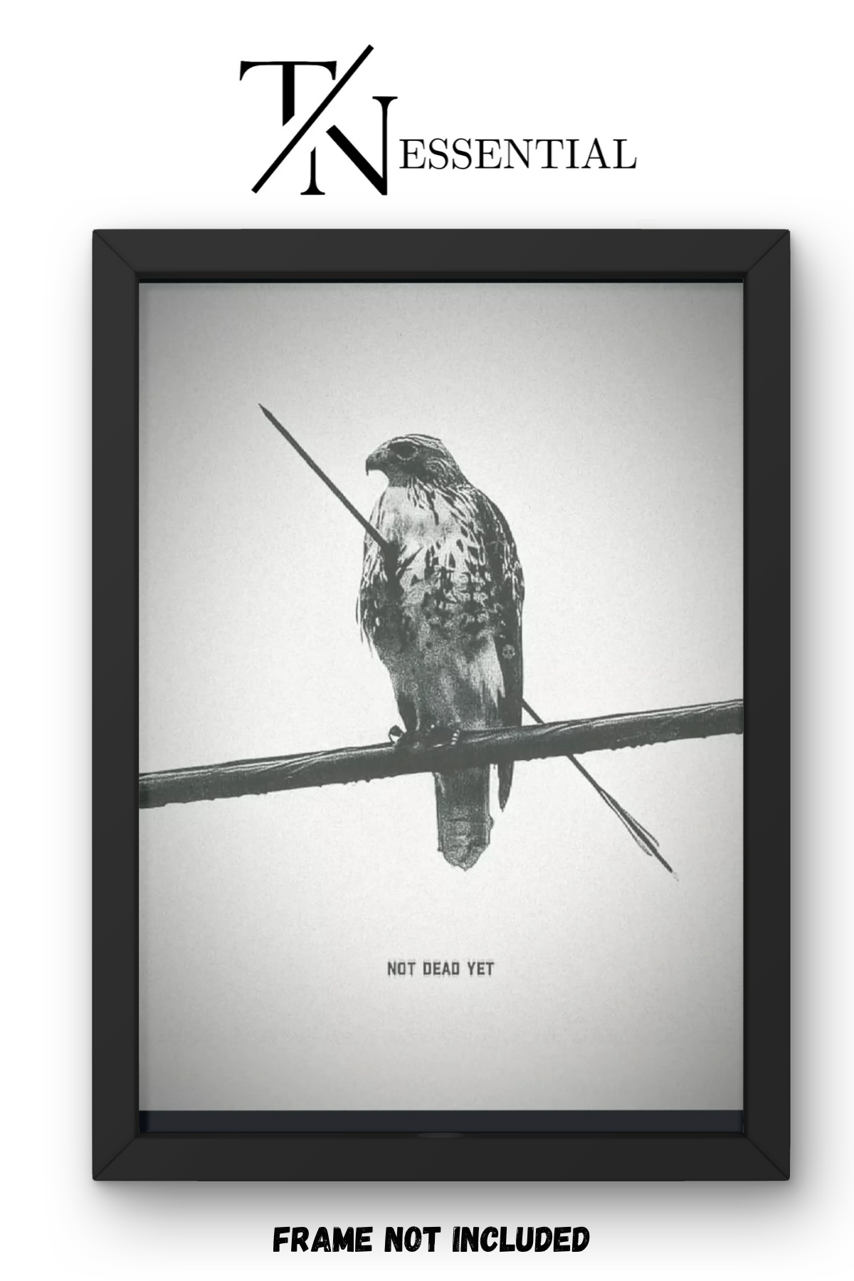 VINTAGE FALCON AESTHETIC CANVAS POSTER