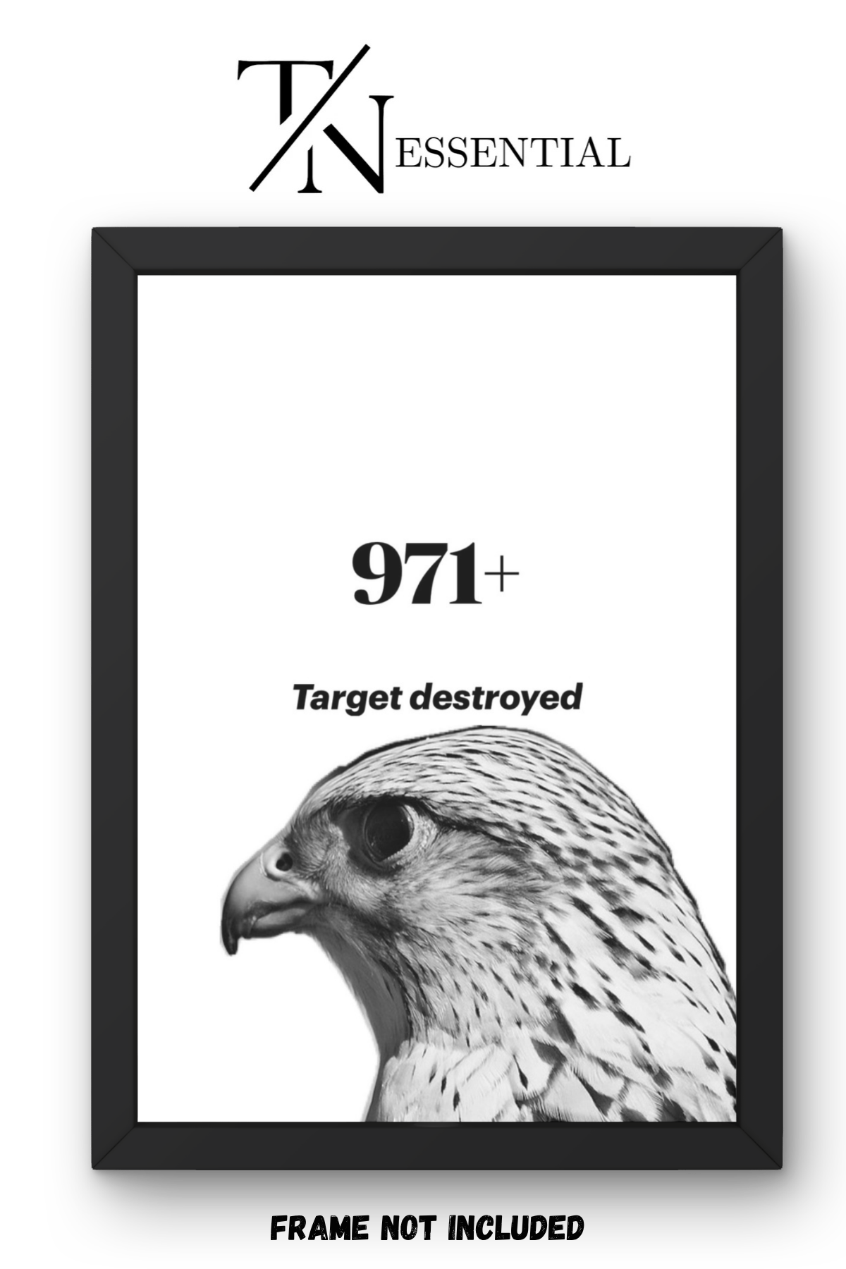 TARGET DESTROYED FALCON CANVAS POSTER