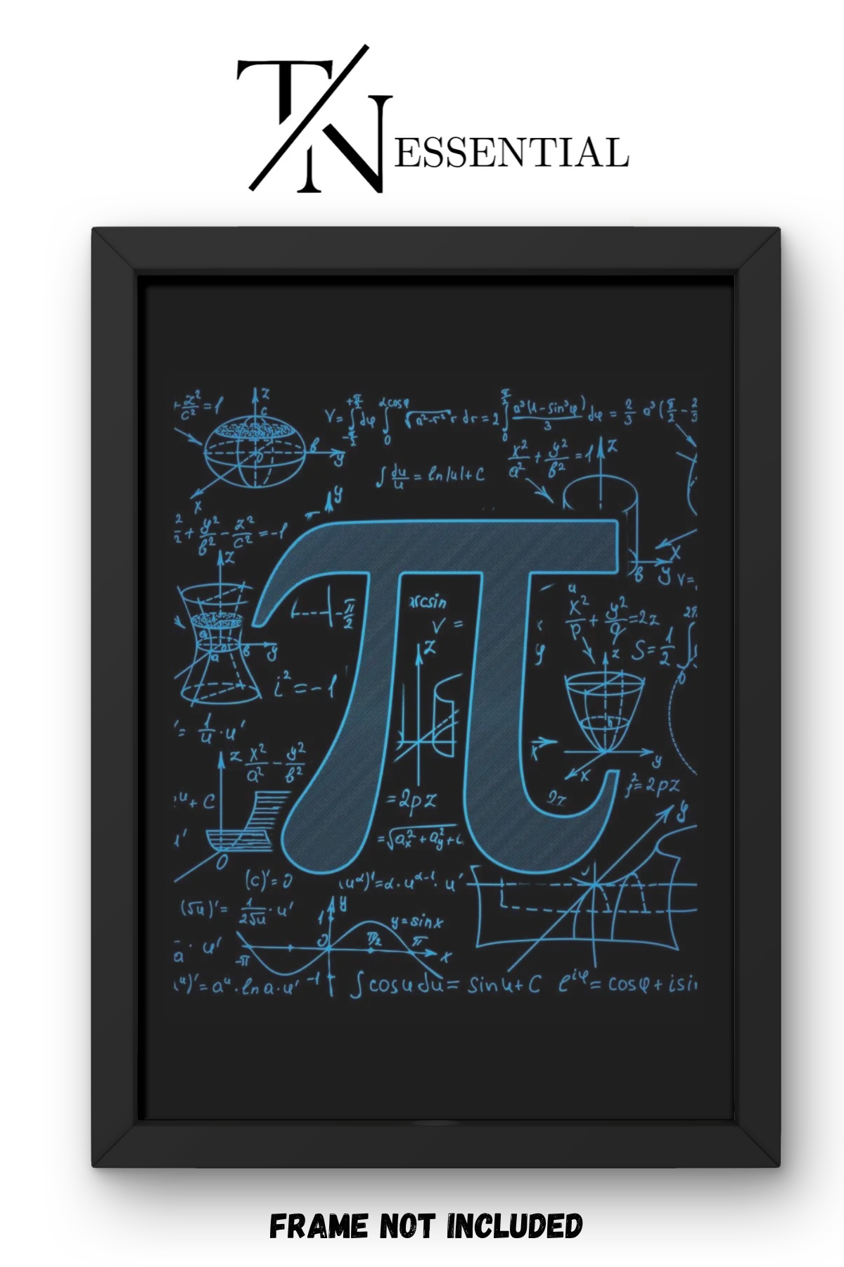 MATHEMATICS SYMBOL CANVAS POSTER