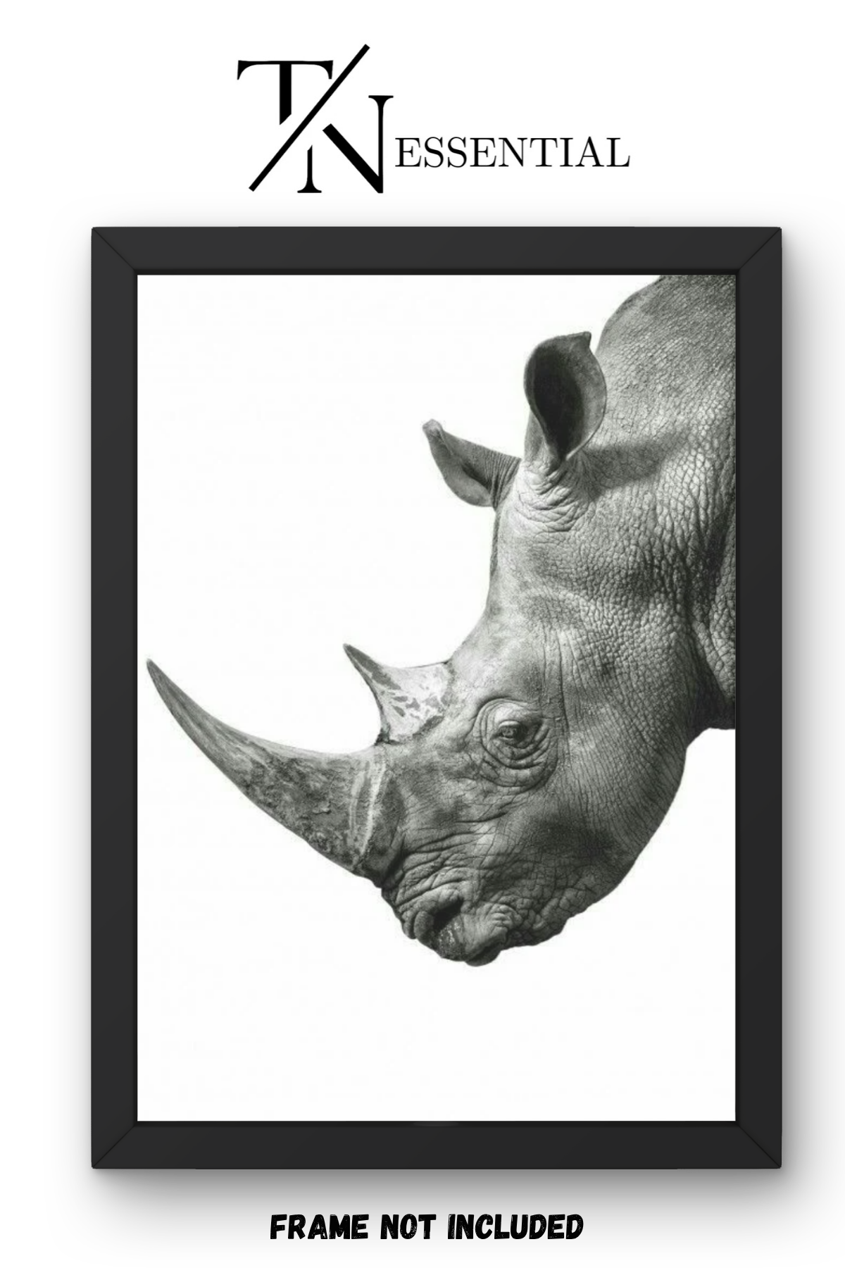 SAFARI RHINO CLOSE UP CANVAS POSTER