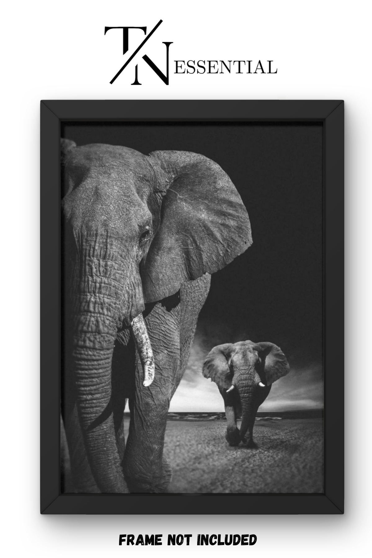 ELEPHANT FAMILY WALK CANVAS POSTER