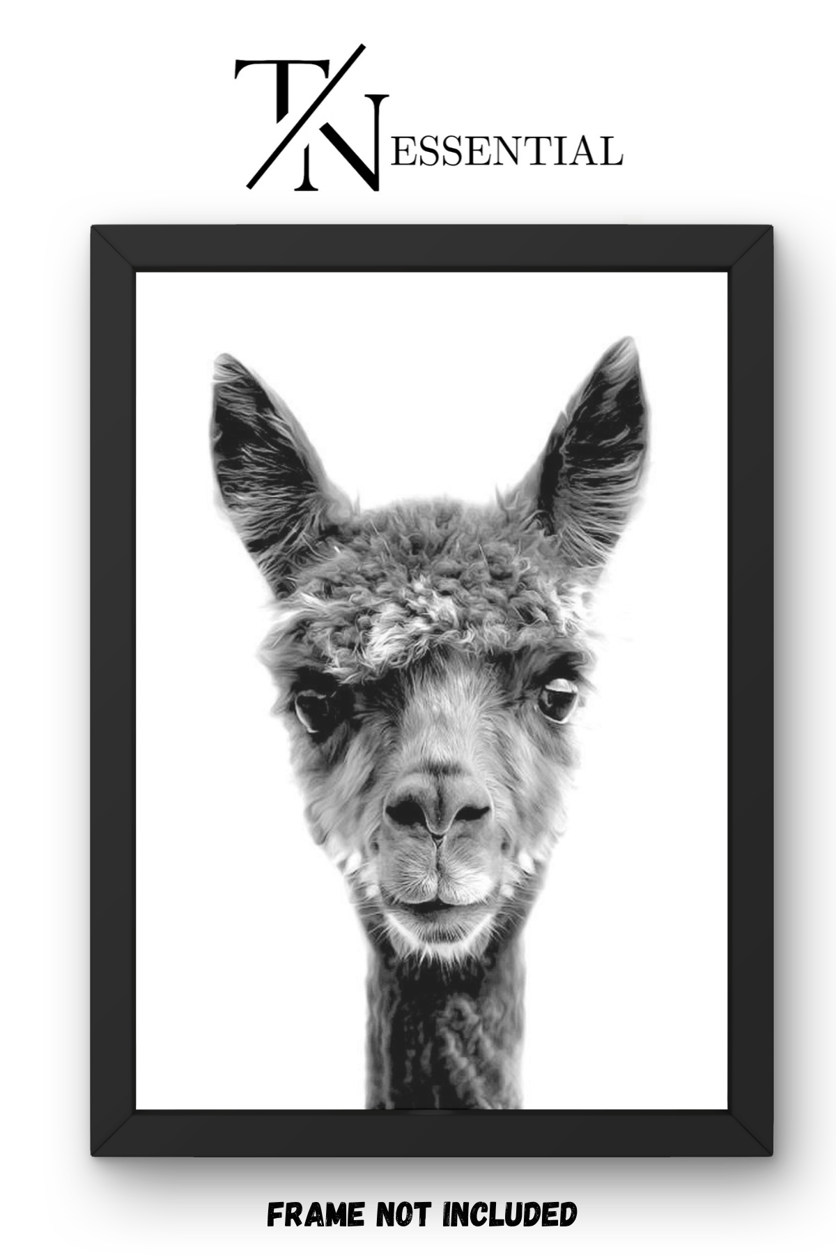 CUTE LLAMA PORTRAIT CANVAS POSTER
