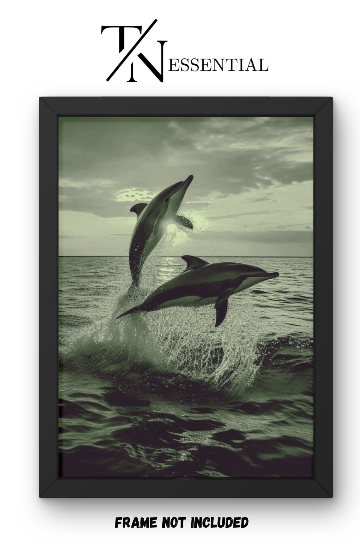 OCEAN DOLPHIN AESTHETIC CANVAS POSTER