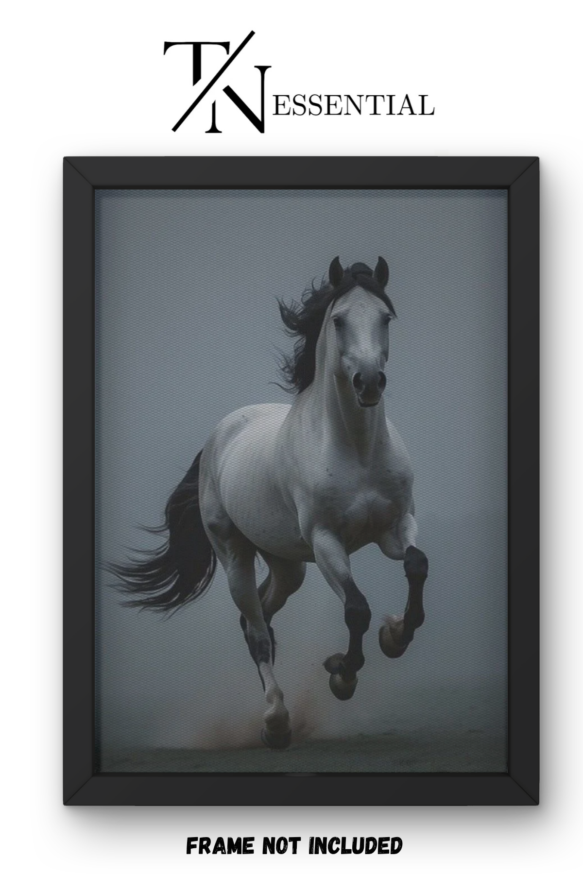 MAJESTIC HORSE PHOTOGRAPHY CANVAS POSTER