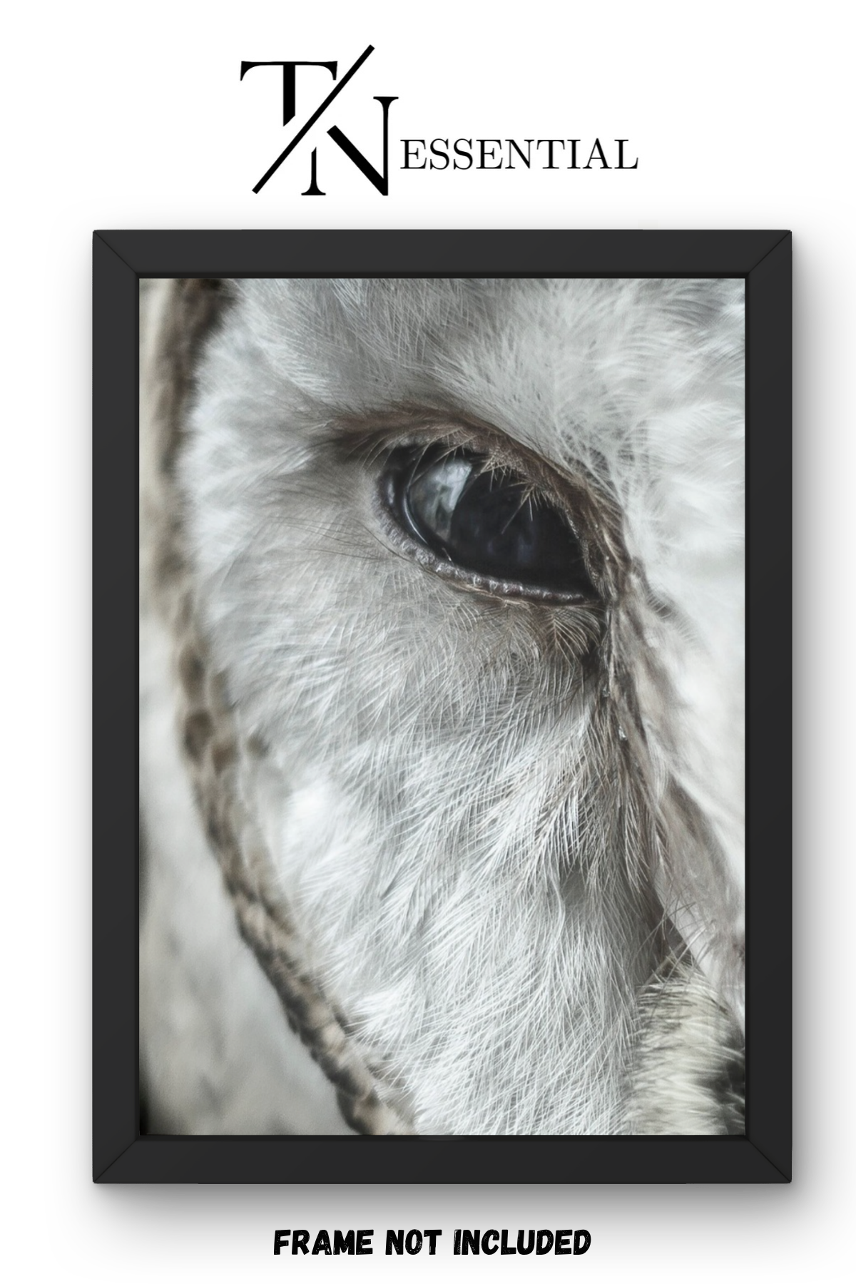 SILENT OWL GAZE CANVAS POSTER