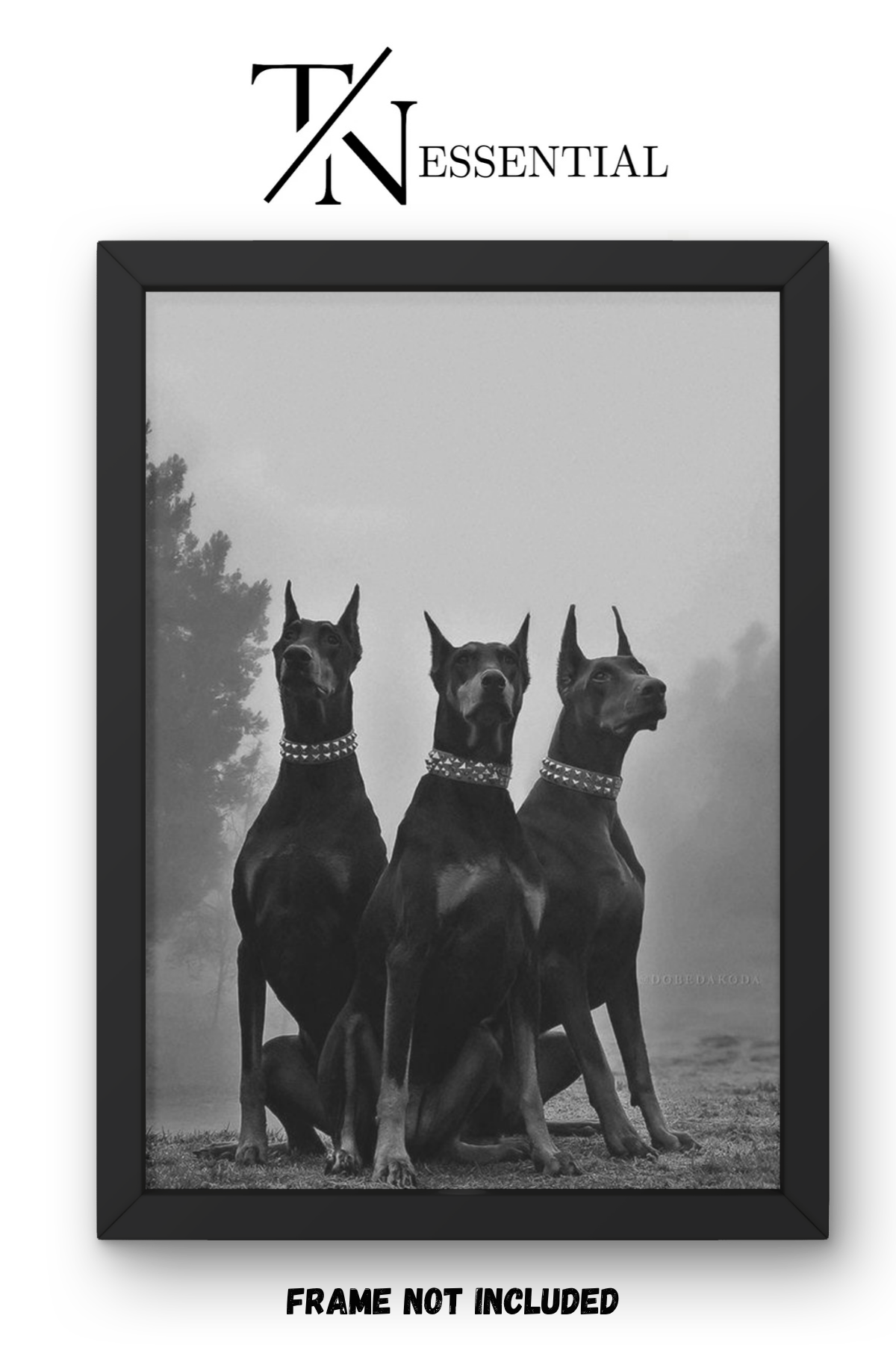 MIDNIGHT DOBERMAN TRIO CANVAS POSTER