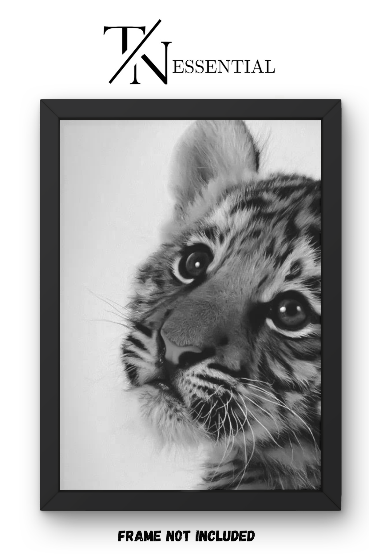 BABY TIGER EYES CANVAS POSTER