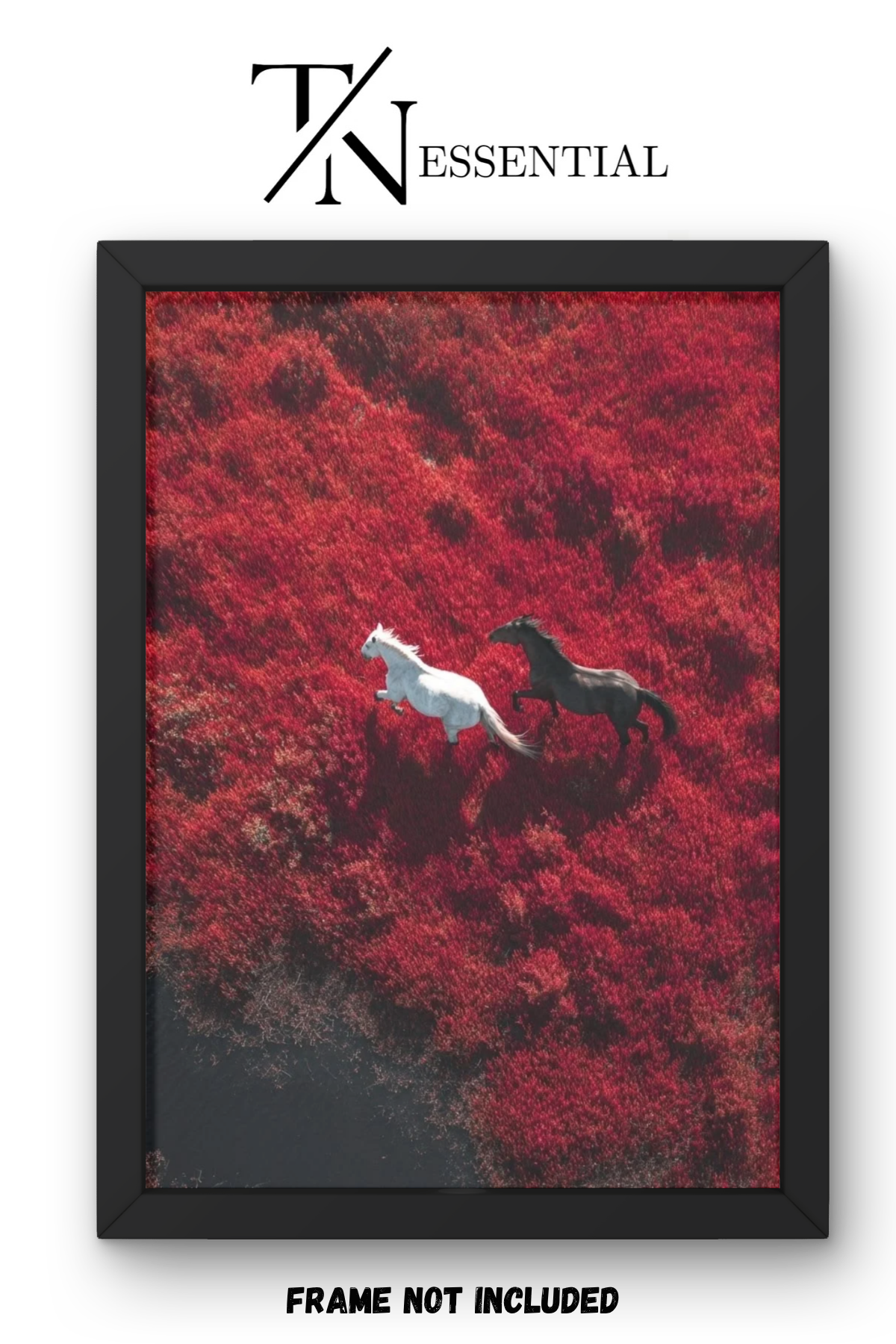 WILD HORSES BLOOM CANVAS POSTER