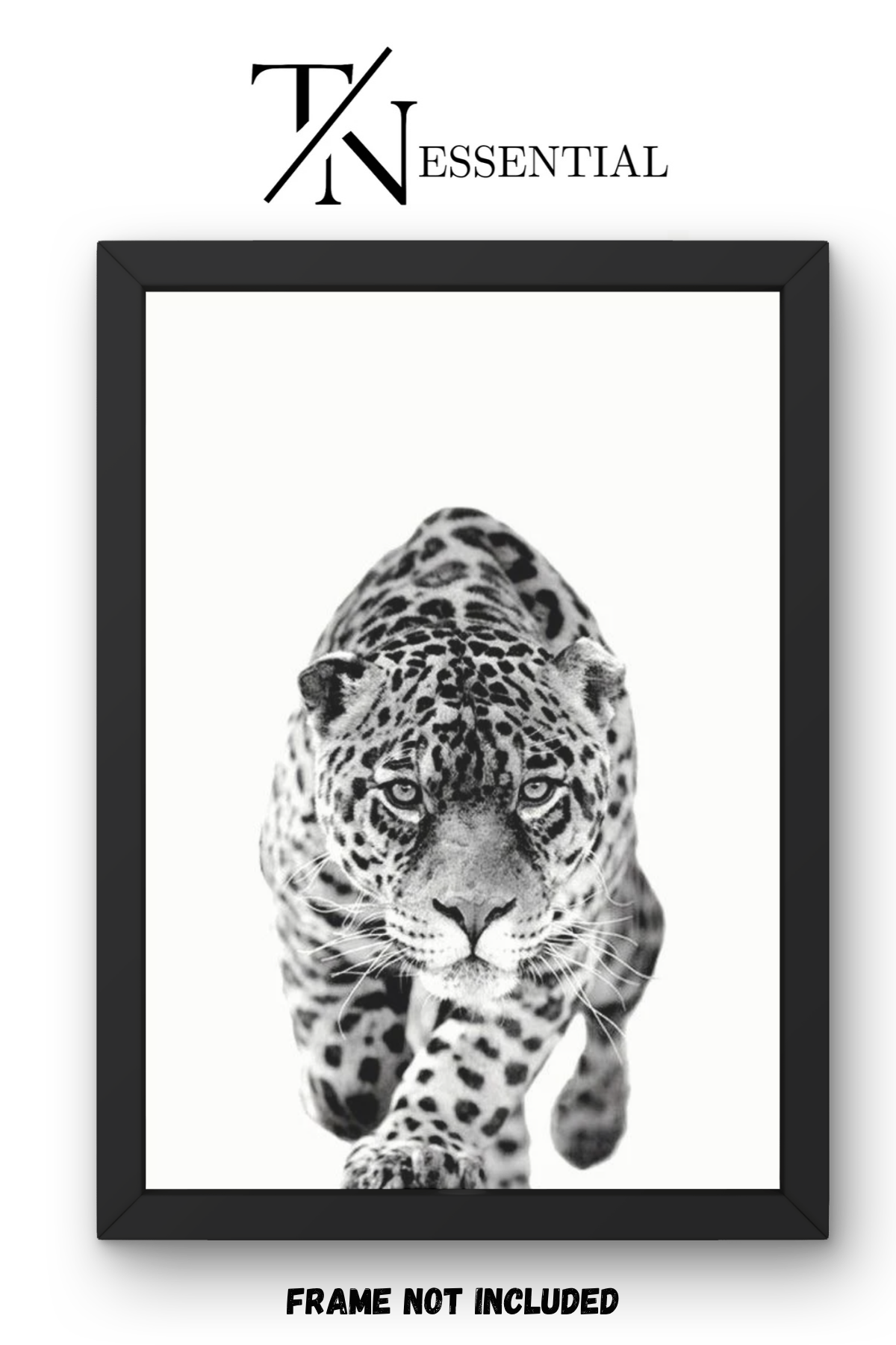 SHADOW LEOPARD STARE CANVAS POSTER